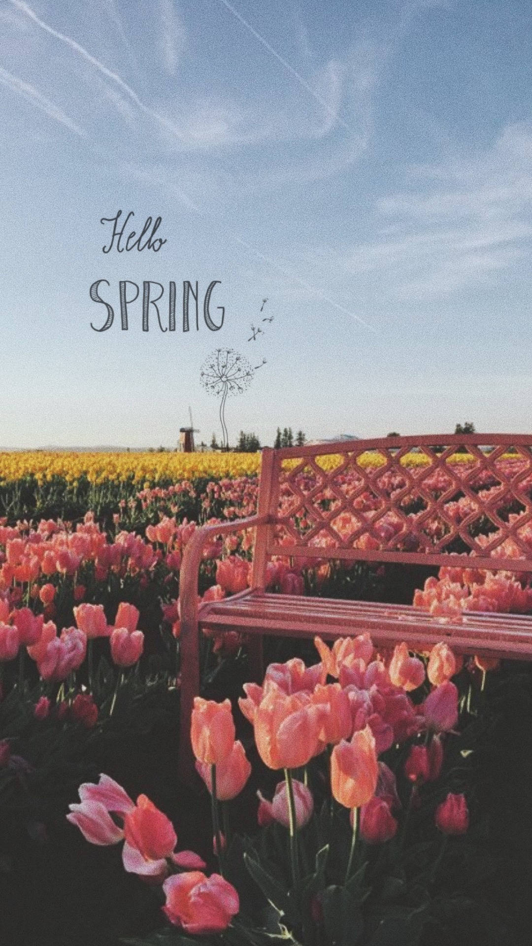 tulips, pink bench, field of blooming tulips, Full HD Phone Wallpaper