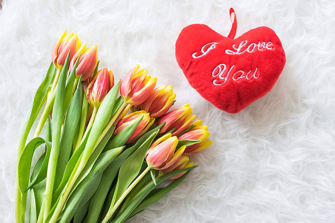 pink and yellow tulips, red heart pillow, I Love You stitched in white, SD Desktop Wallpaper
