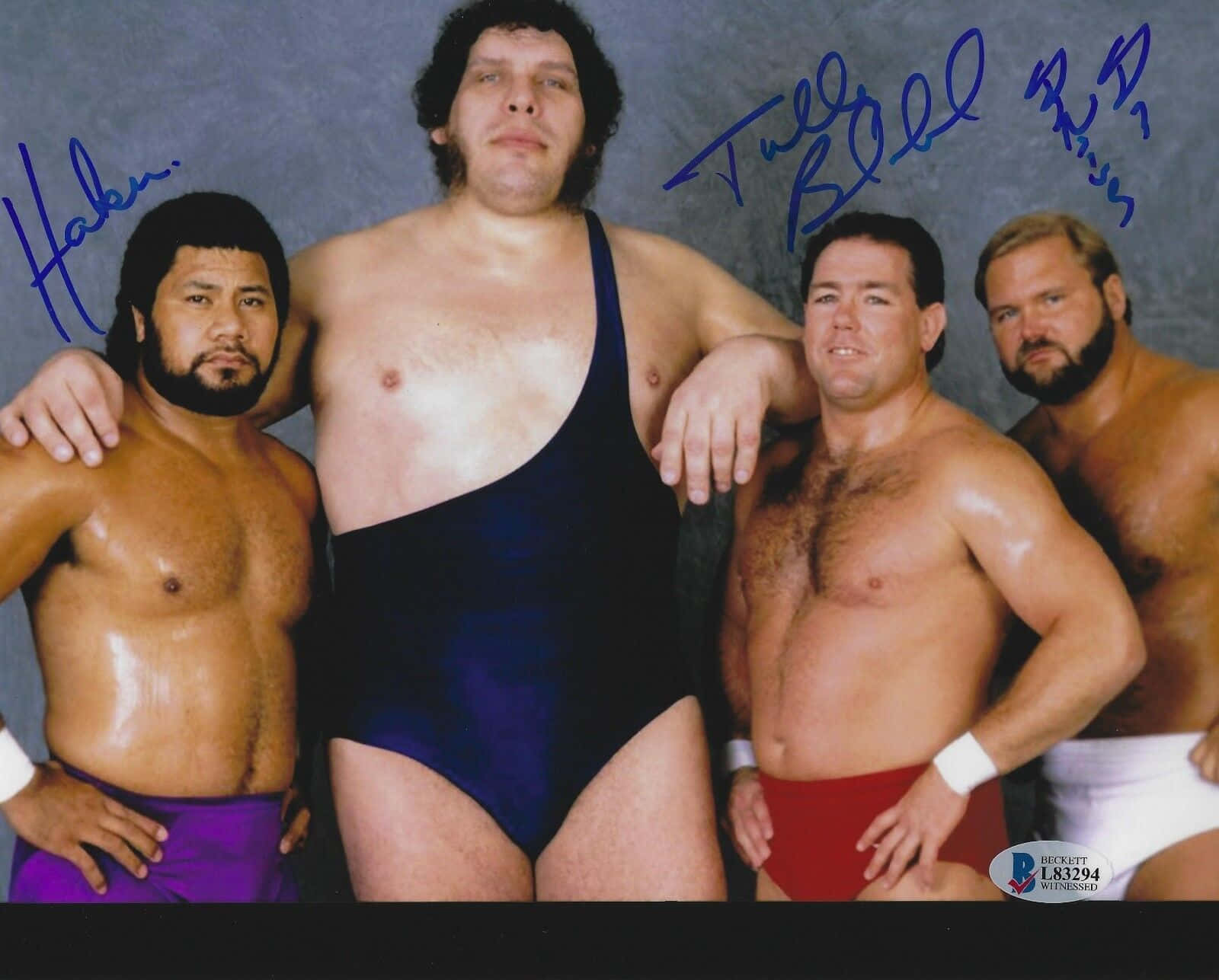 Tully Blanchard, vintage wrestler memorabilia, colorful trunks, HD Desktop Wallpaper