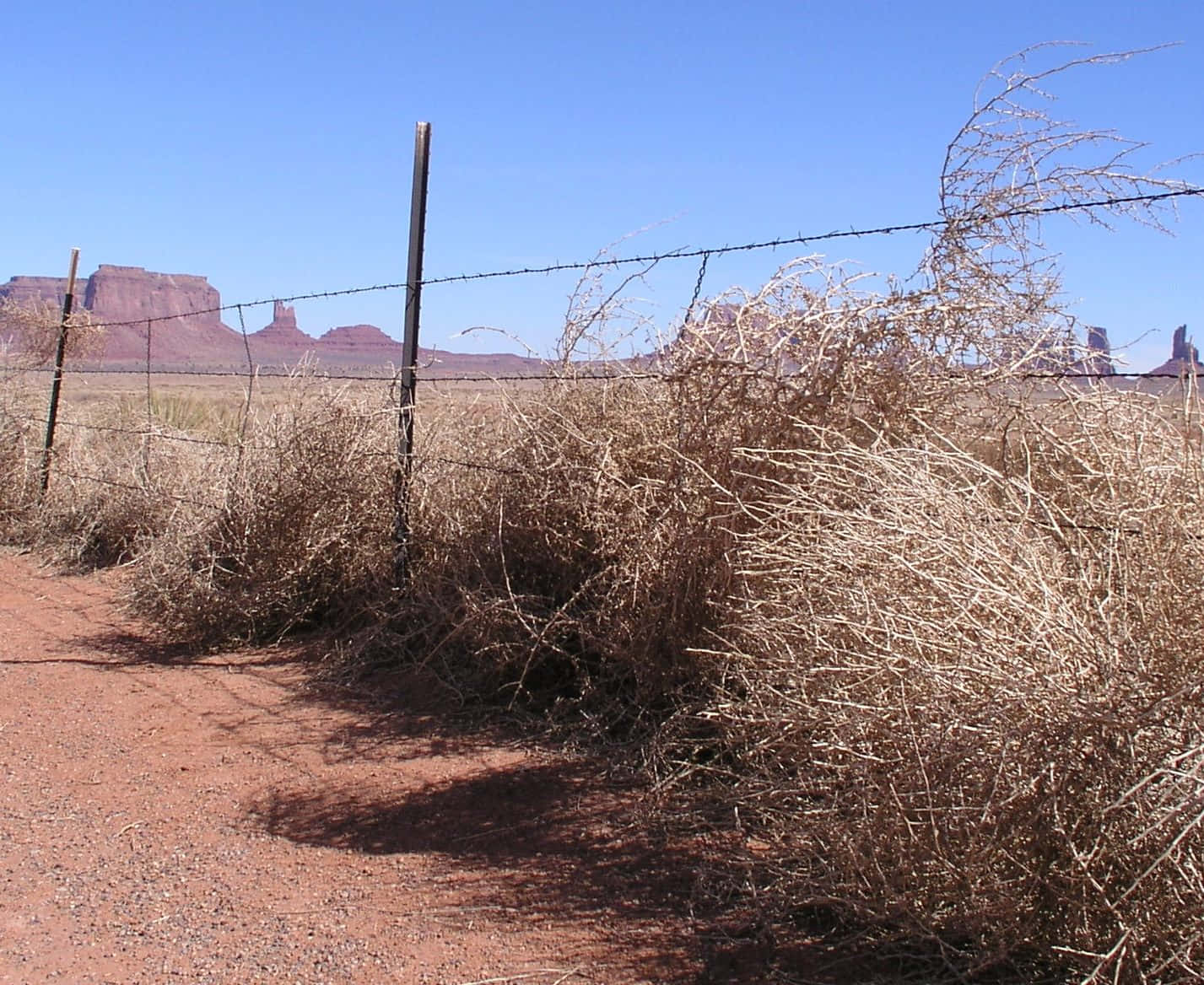rusty barbed wire fence, dry brush, clear blue sky, HD Desktop Wallpaper
