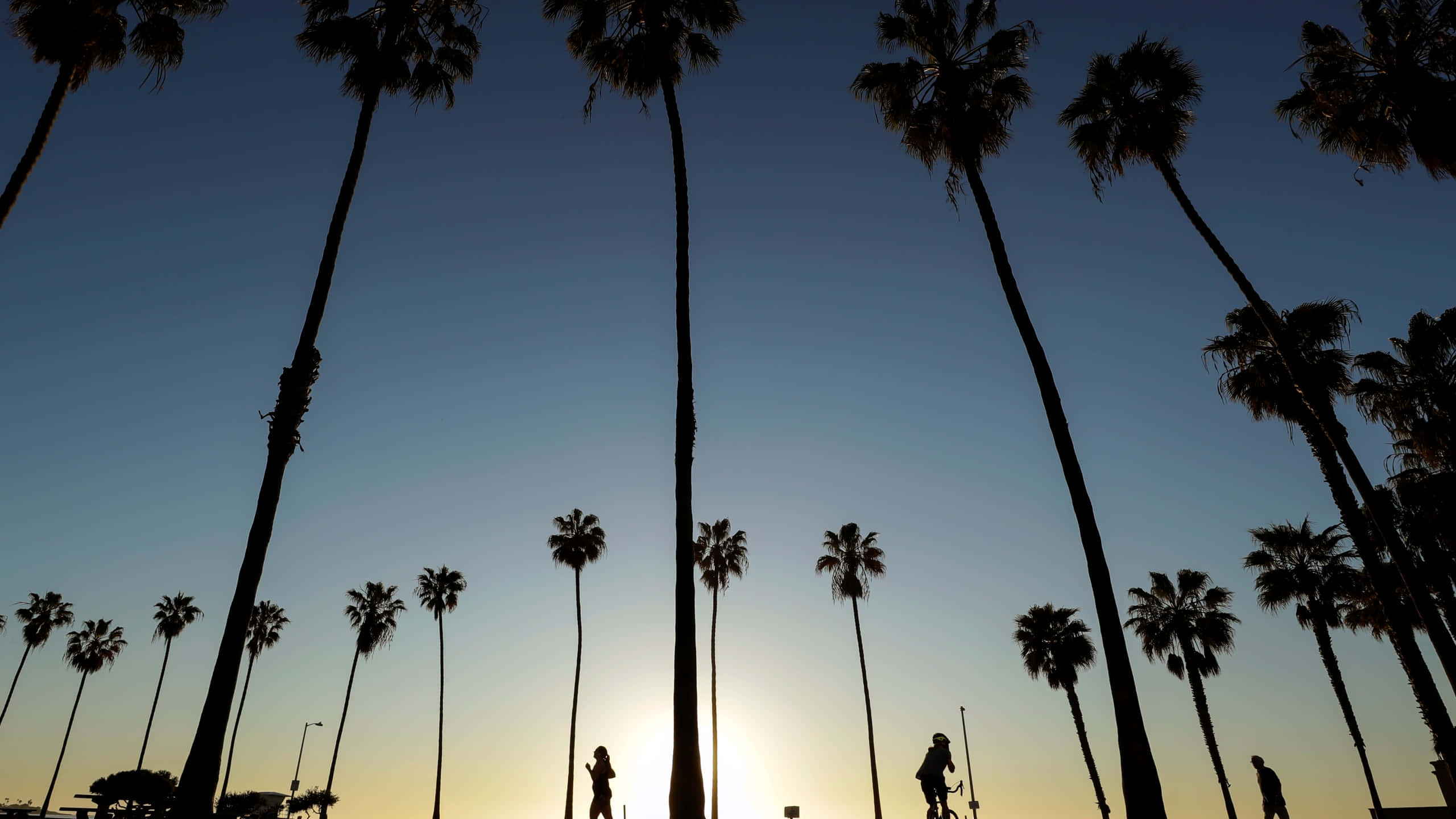 California Sunset, palm trees, gradient sky, 2K Desktop Wallpaper
