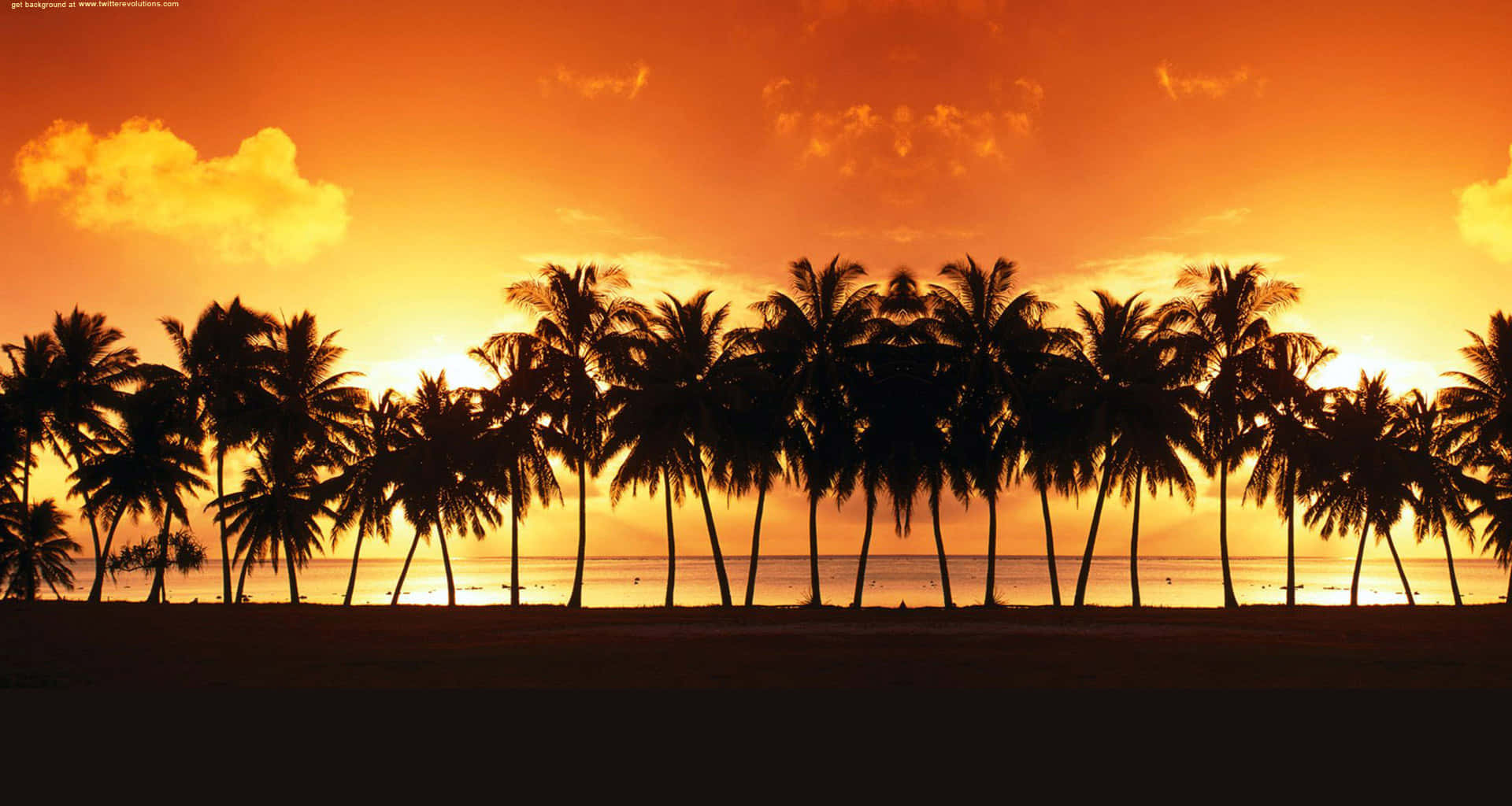 California coastline, palm trees, fiery orange sunset, Full HD Desktop Wallpaper