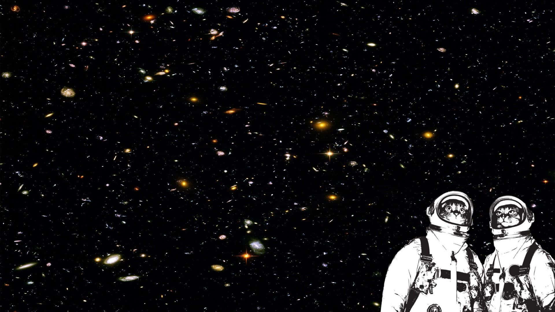 Tumblr Laptop, Cute Cat Astronaut, white suits, Full HD Desktop Wallpaper