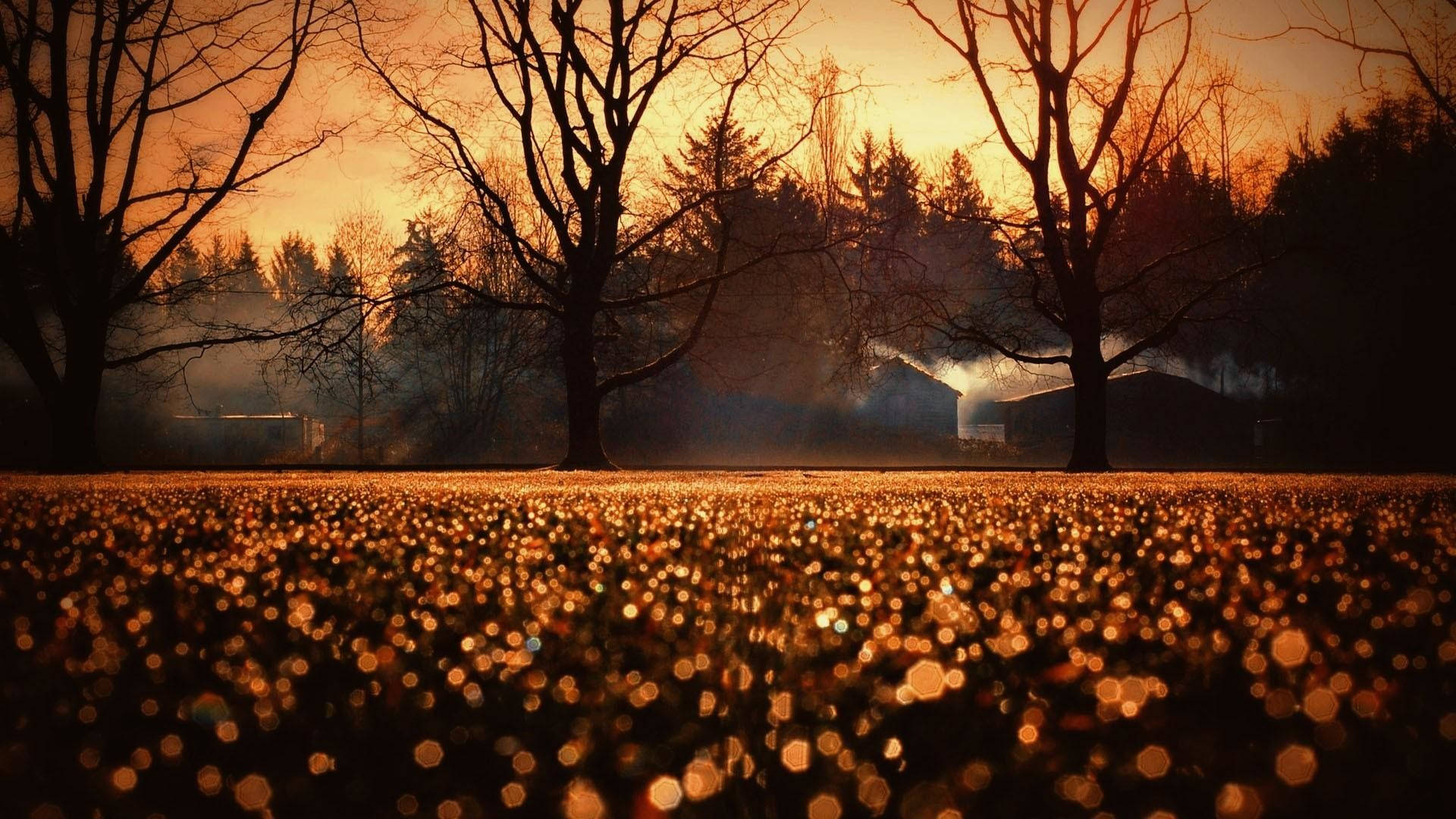 sunset, suburban area, golden bokeh lights, Full HD Desktop Wallpaper