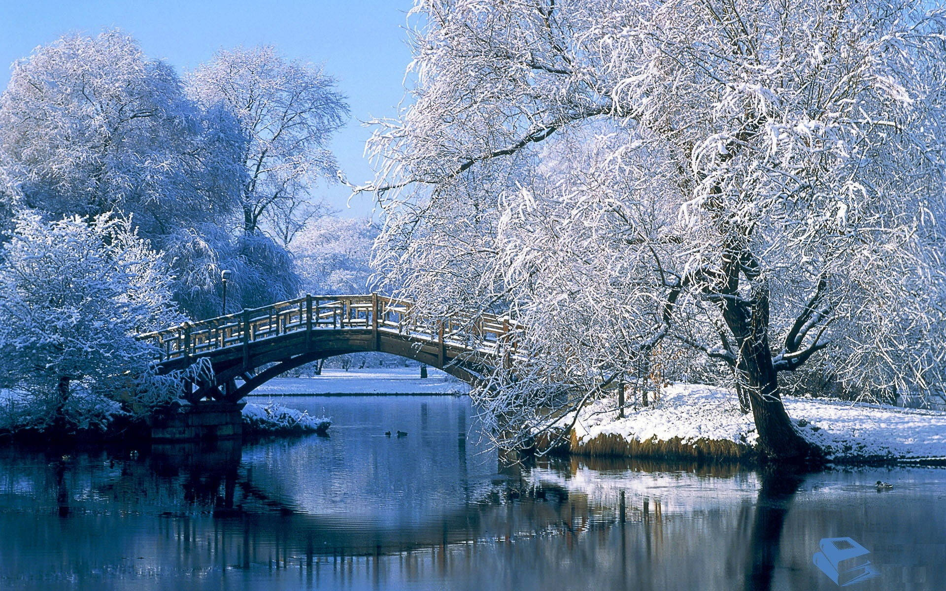 winter forest bridge, wooden arched bridge, calm winter river, Full HD Desktop Wallpaper