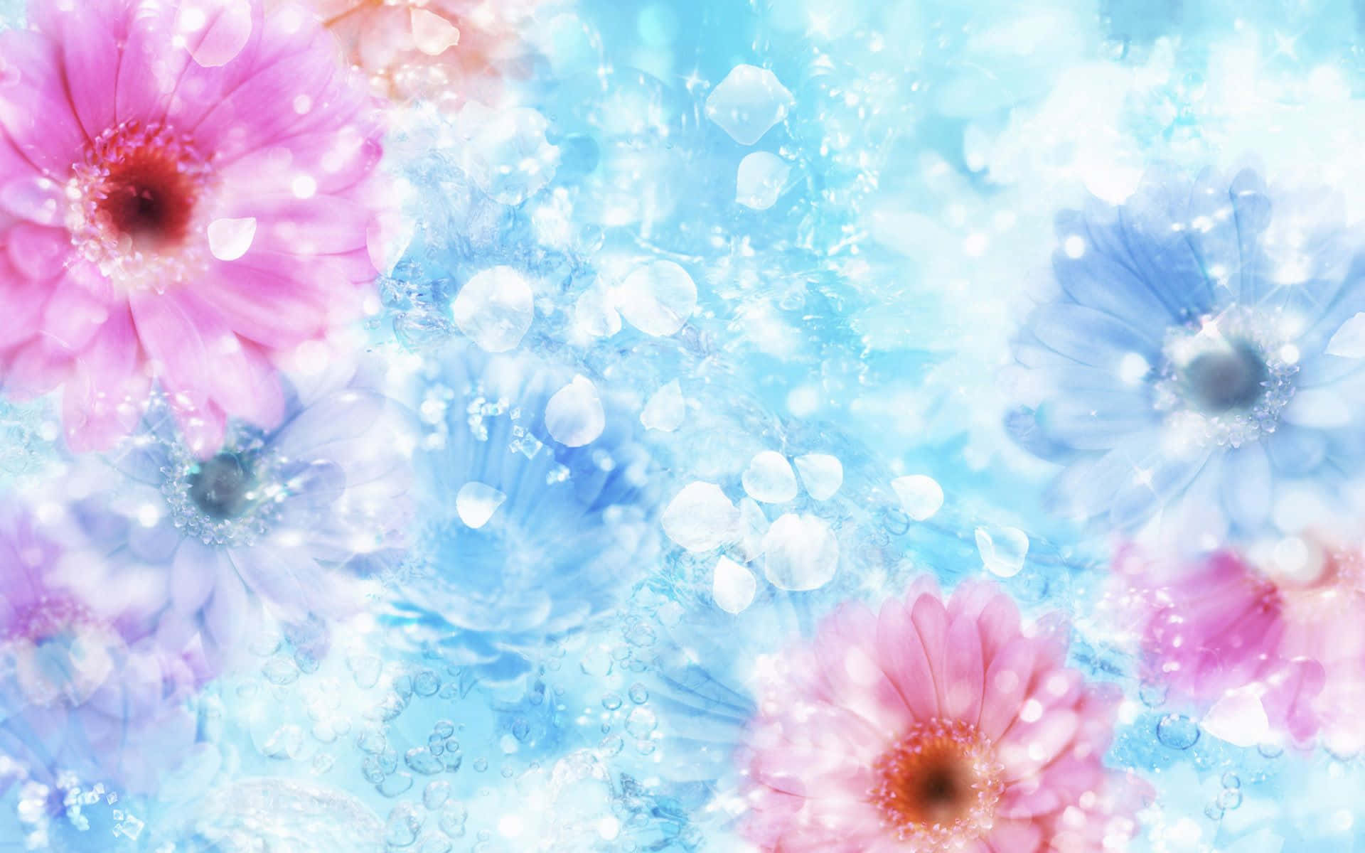 tumblr flowers desktop, pastel pink, blue flowers, Full HD Desktop Wallpaper