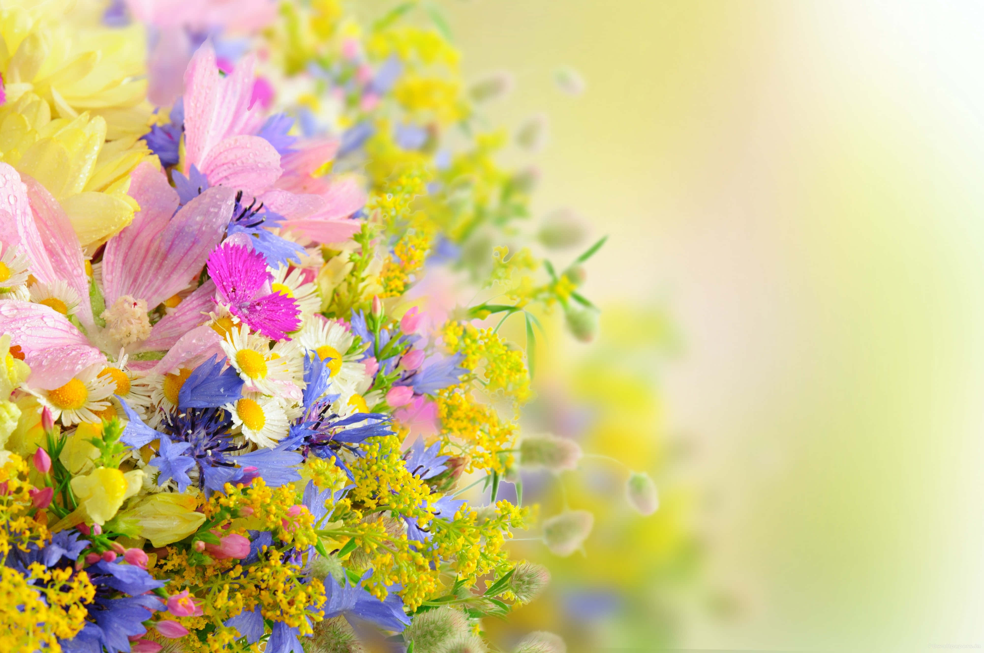 Tumblr Flowers Desktop, pink, yellow, 4K Desktop Wallpaper