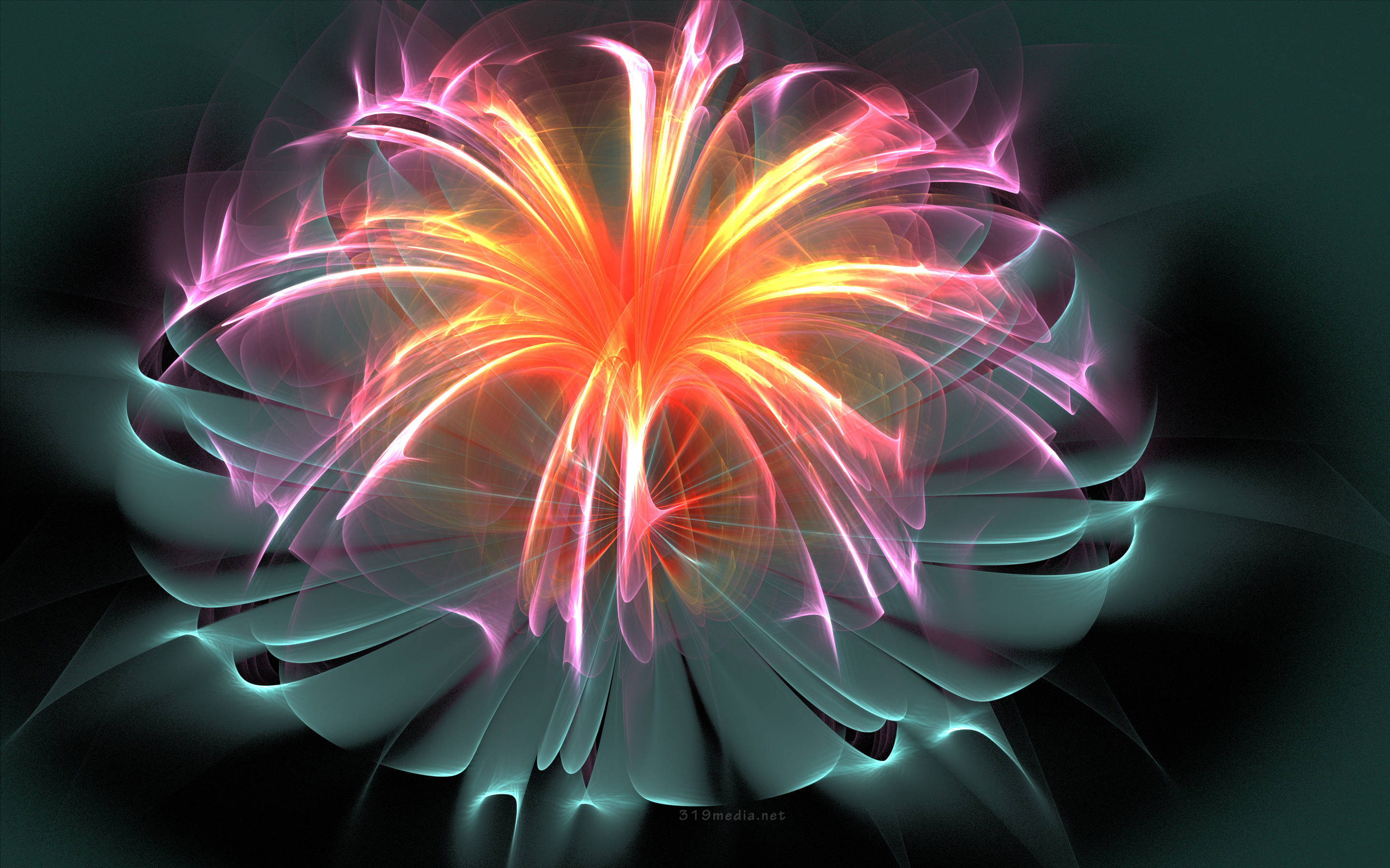 Tumblr Flower Glowing Bloom, fiery orange, pink tendrils, 2K Desktop Wallpaper