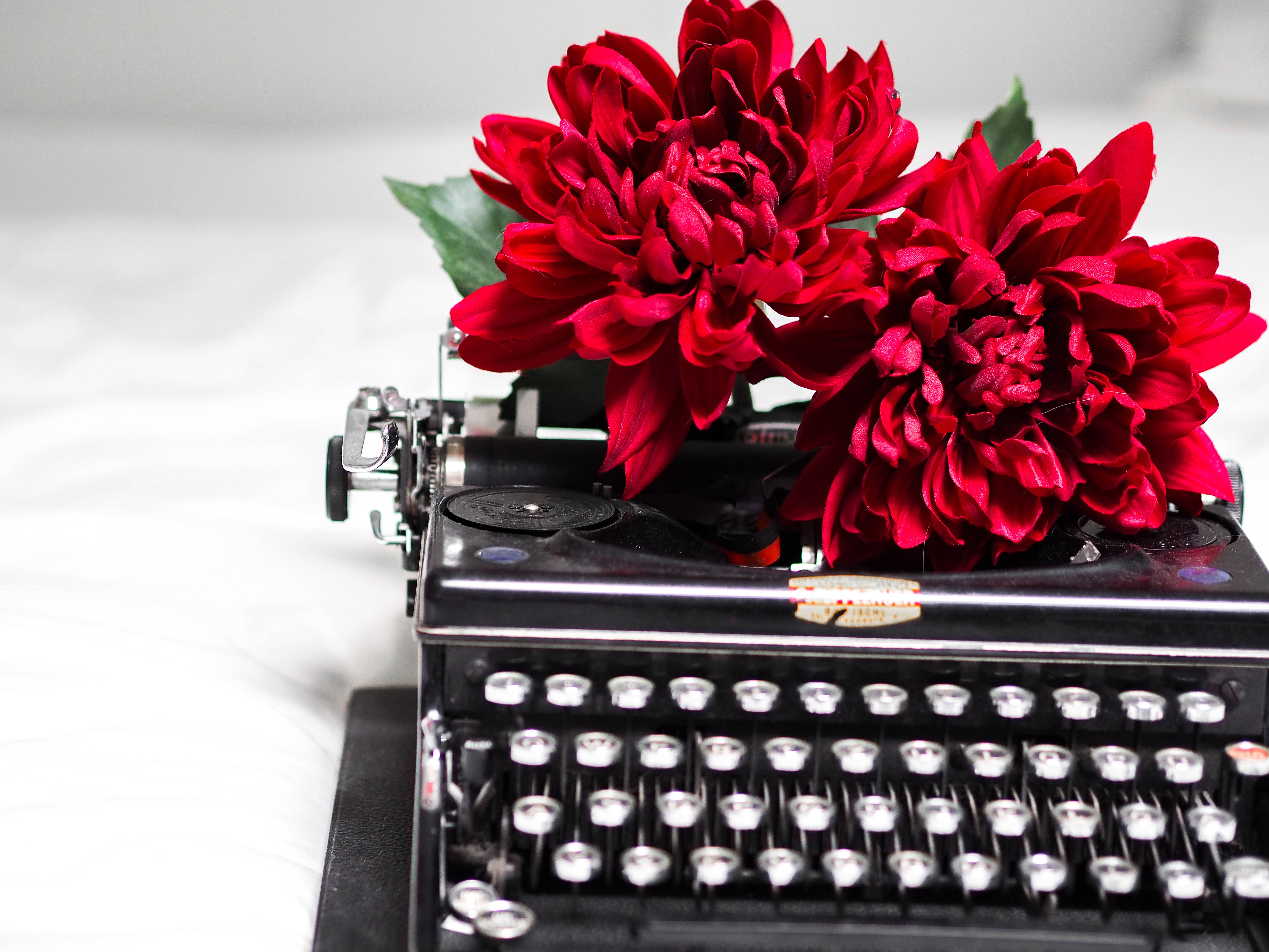 Tumblr, red dahlias, vintage black typewriter, 4K Desktop Wallpaper