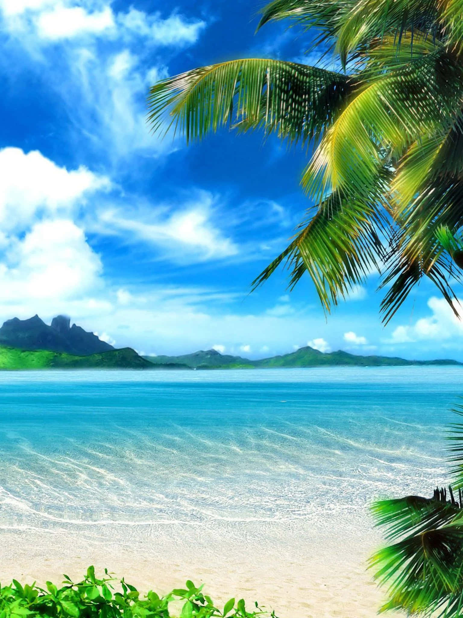 Tumblr iPad, tropical beach, turquoise waters, Full HD Phone Wallpaper