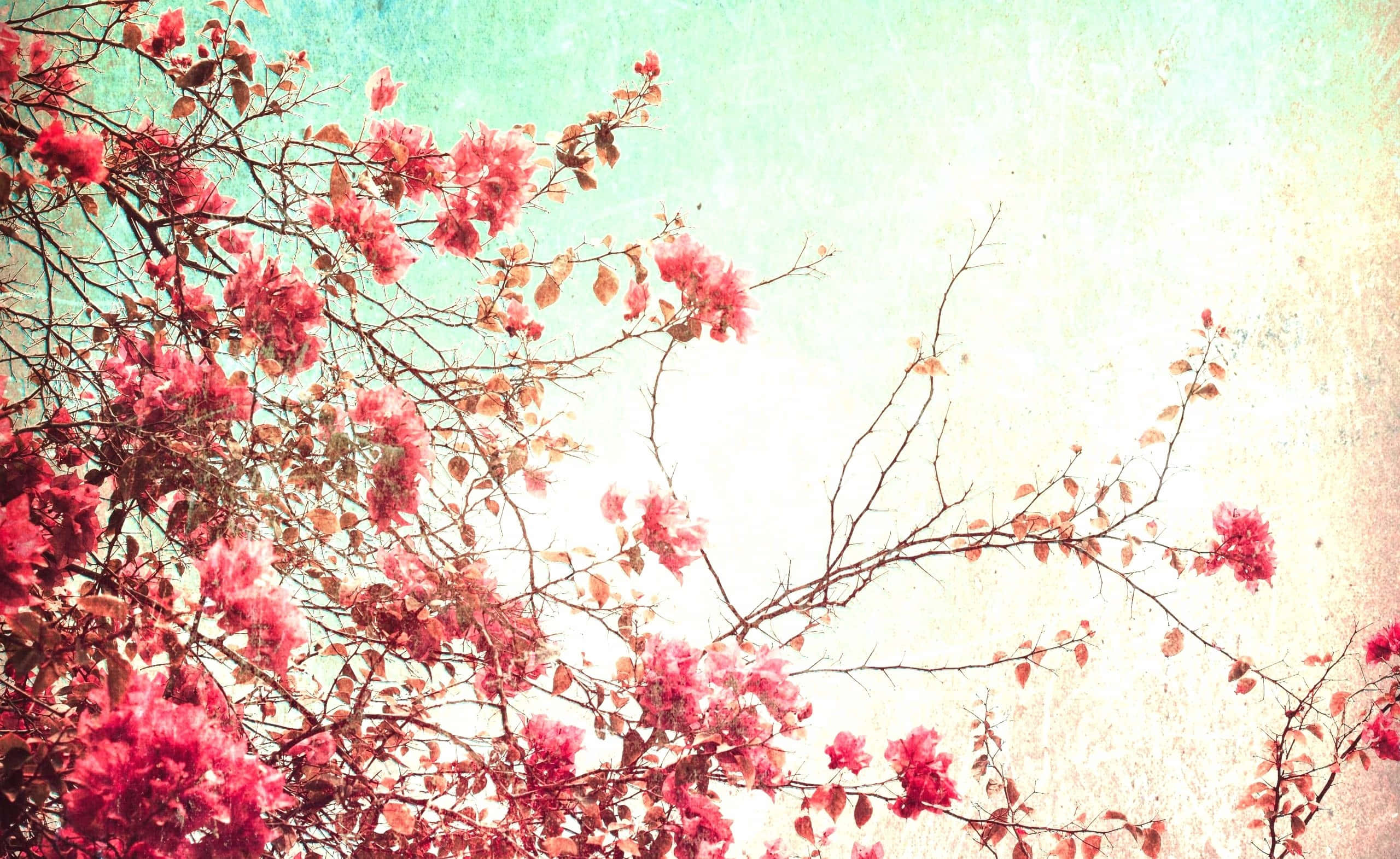 Tumblr iPad, Pink, Vintage, 2K Desktop Wallpaper