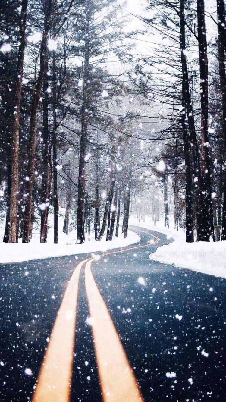 cozy winter, winding road, snowy forest, HD Phone Wallpaper
