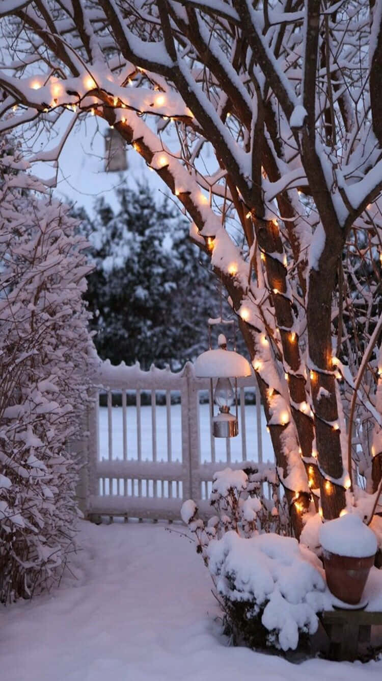cozy winter tumblr, snow, garden path, HD Phone Wallpaper