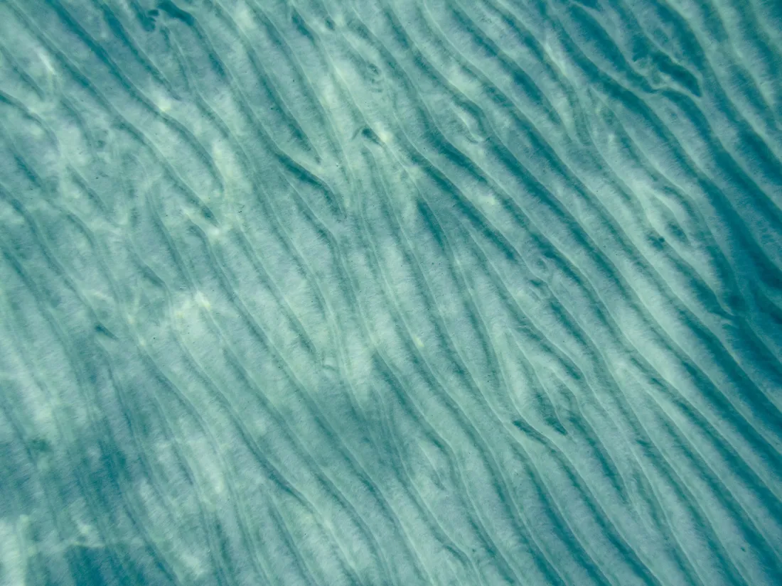 Tumblr Pattern