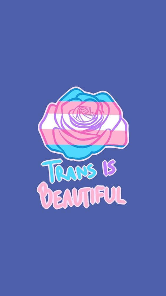 trans flag, blue background, Trans is Beautiful, SD Phone Wallpaper