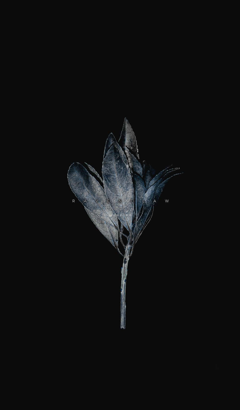 Tumblr Photography, iPhone, cool blue tones, HD Phone Wallpaper