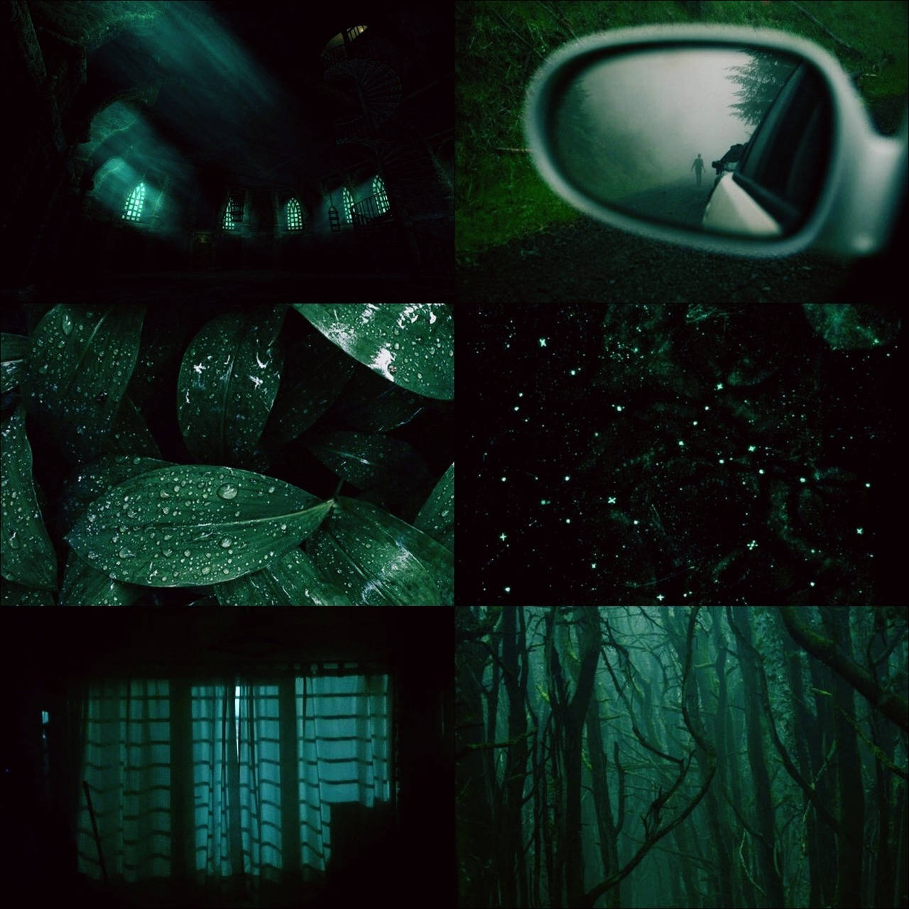 melancholic green aesthetic, teal-lit scenes, forest, HD Desktop Wallpaper