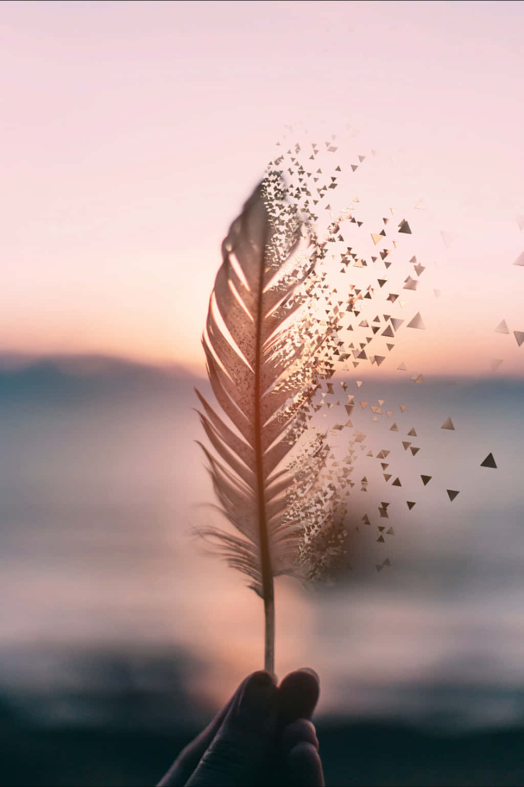 golden triangles, soft pink and orange sunset sky, feather, HD Phone Wallpaper
