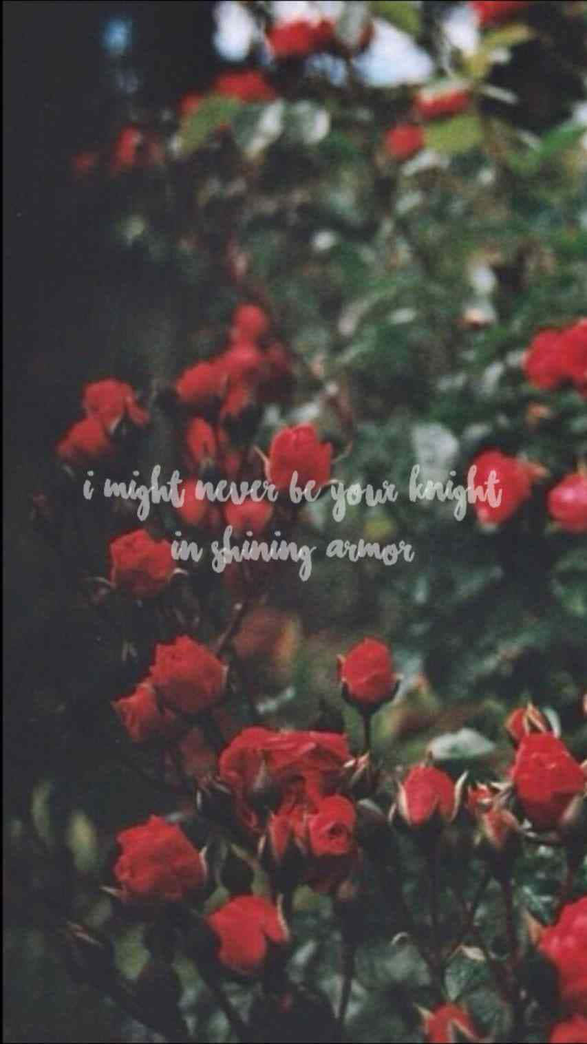 Tumblr Roses HD, multicolored roses, vibrant red roses, HD Phone Wallpaper