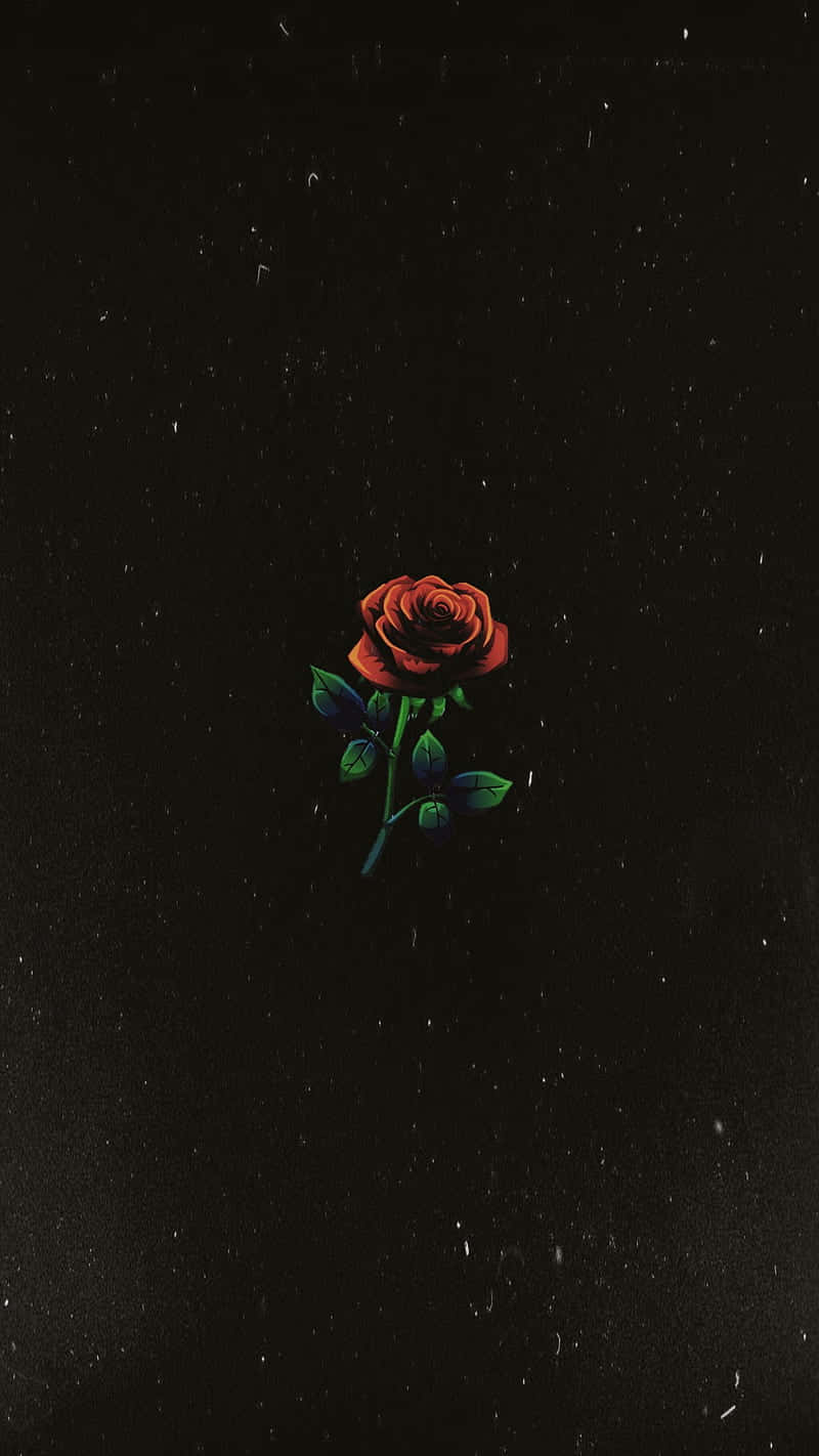 tumblr roses hd, red rose, green leaves, HD Phone Wallpaper
