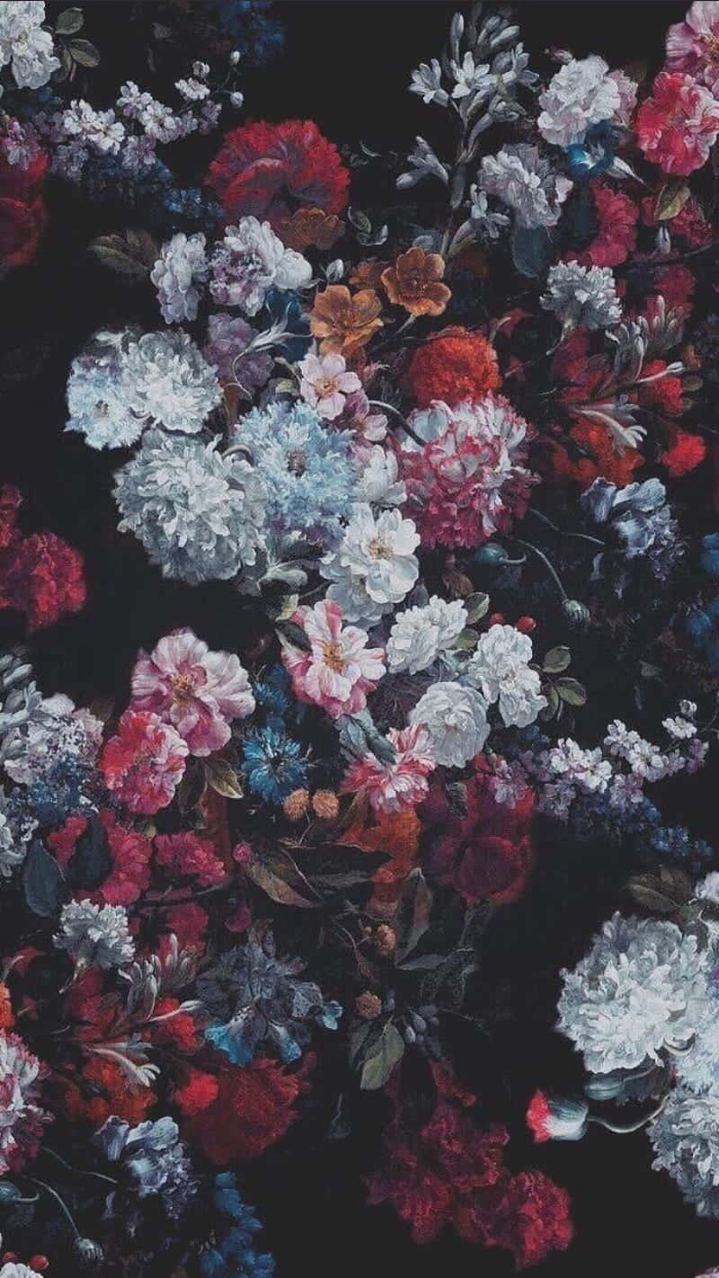 tumblr roses hd, red rose, vivid red pink and blue flowers, HD Phone Wallpaper