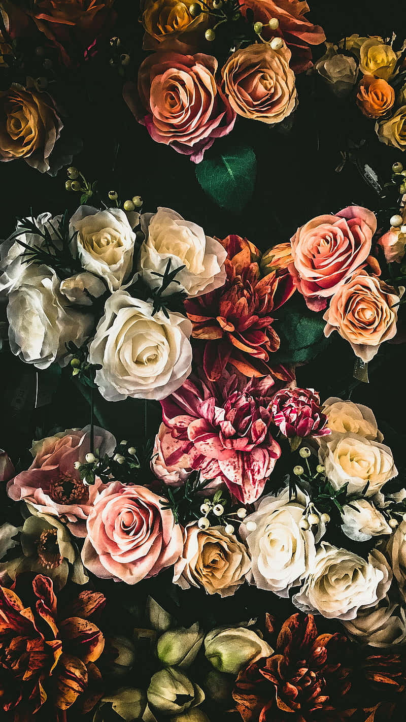 Tumblr Roses HD, red roses, lilies, HD Phone Wallpaper
