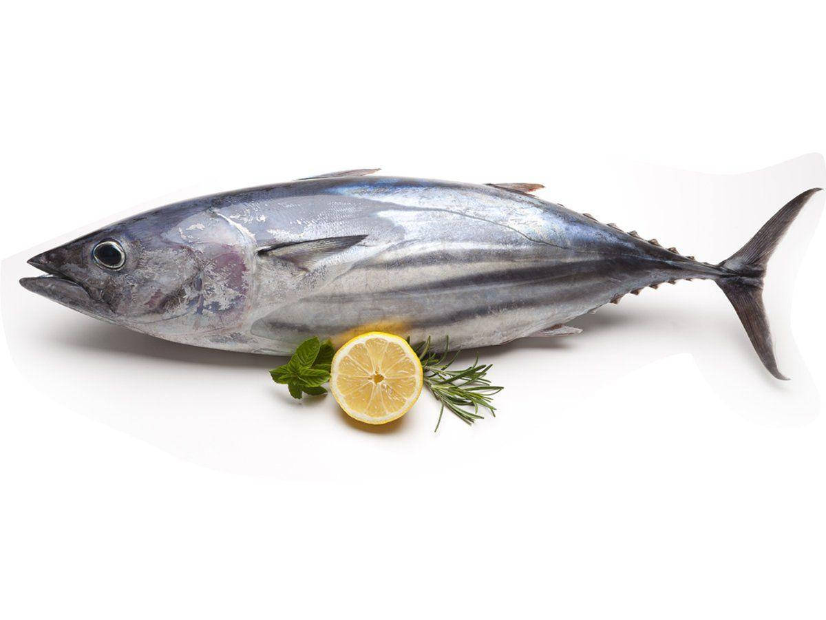 tuna fish, lemon slice, rosemary, SD Desktop Wallpaper