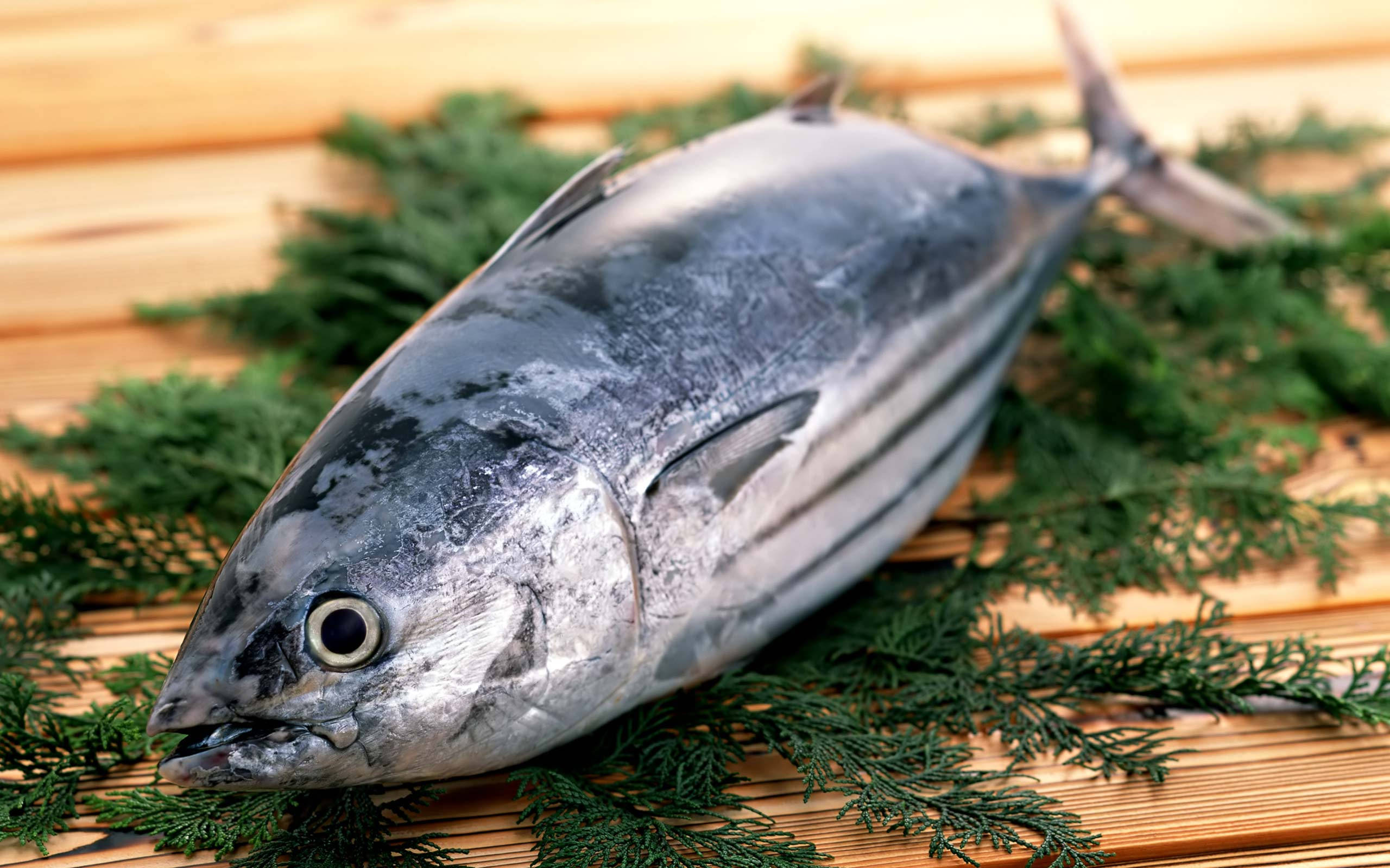 tuna, wooden surface, green pine needles, 2K Desktop Wallpaper