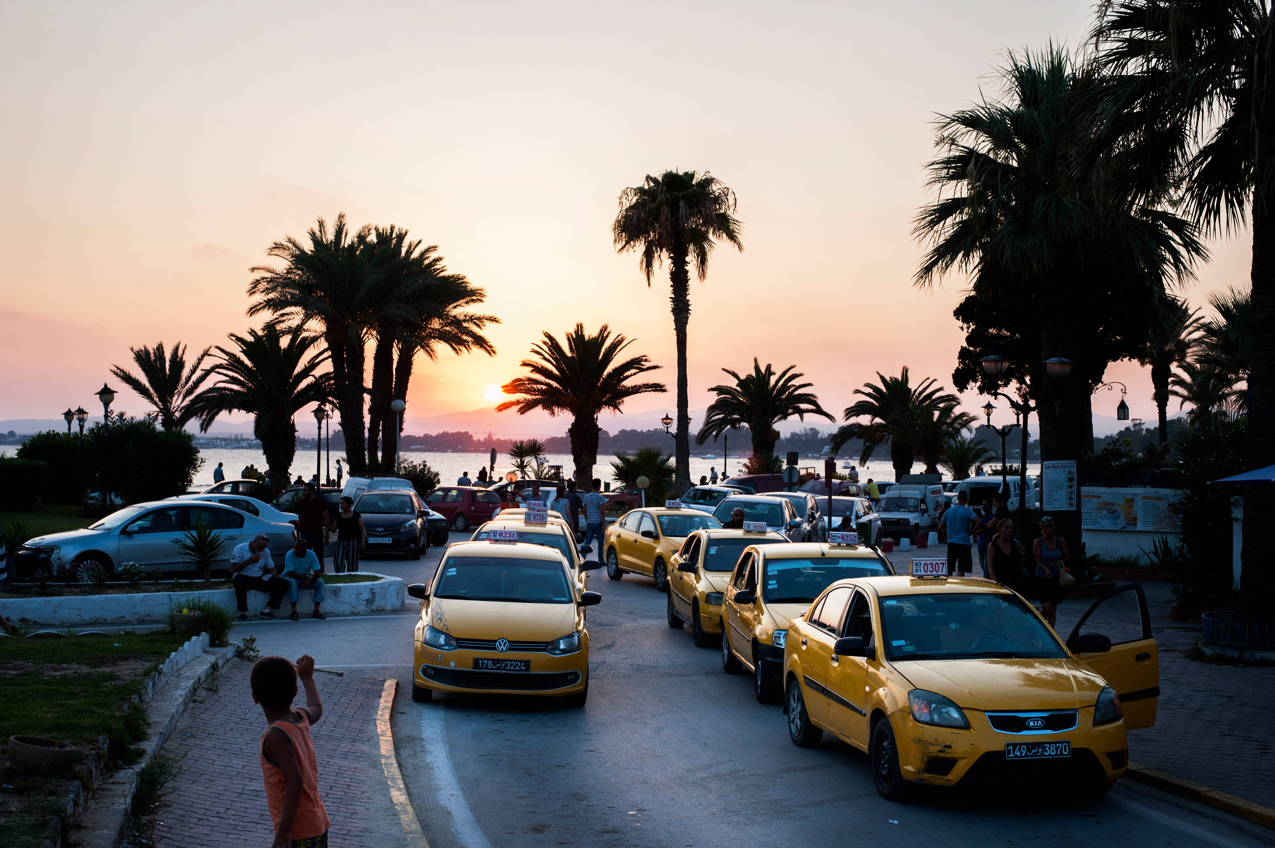 Tunisia, yellow taxis, palm tree-lined street, 4K Desktop Wallpaper