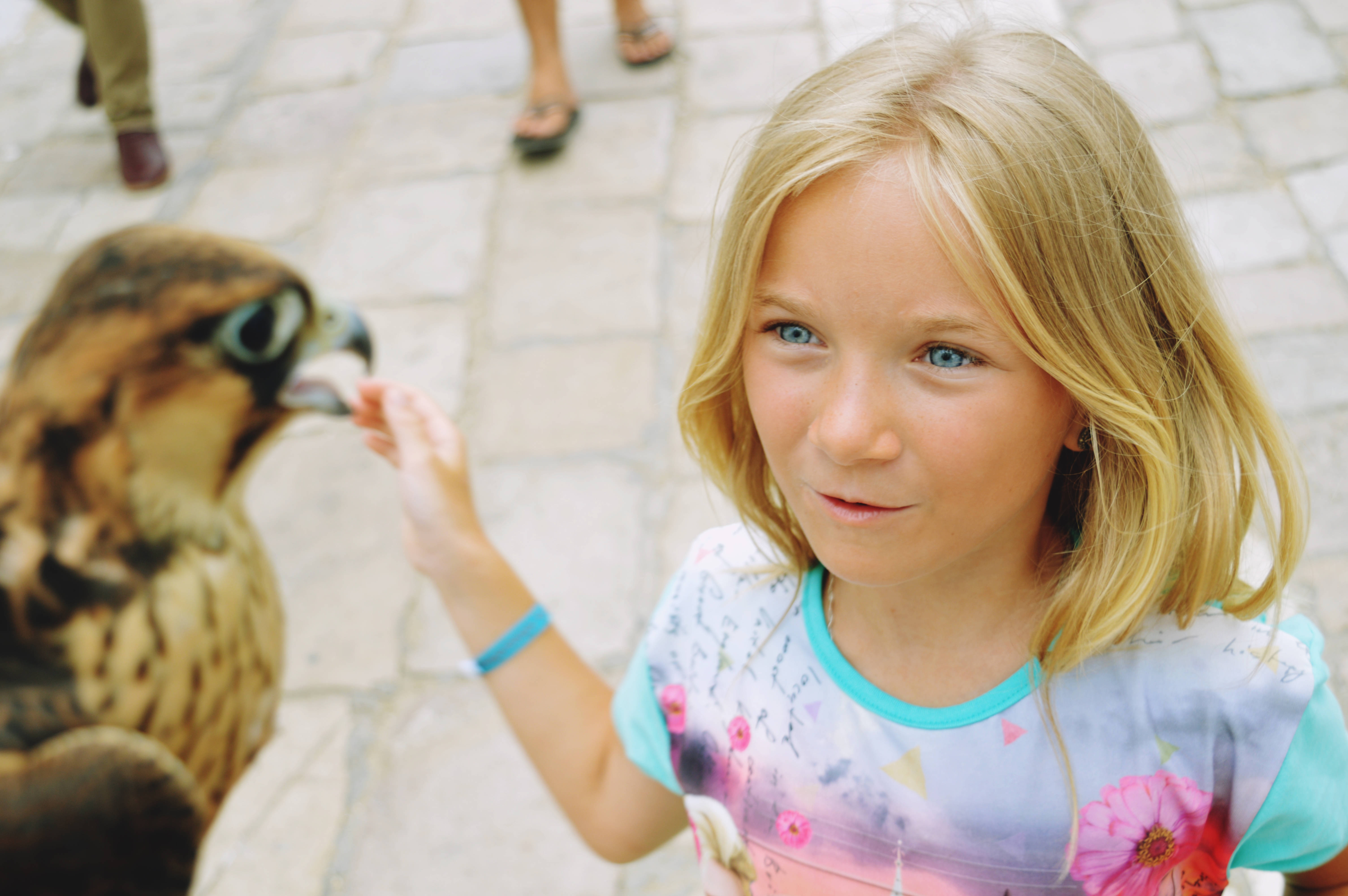 blonde girl, falcon, stone-paved path, 5K Desktop Wallpaper