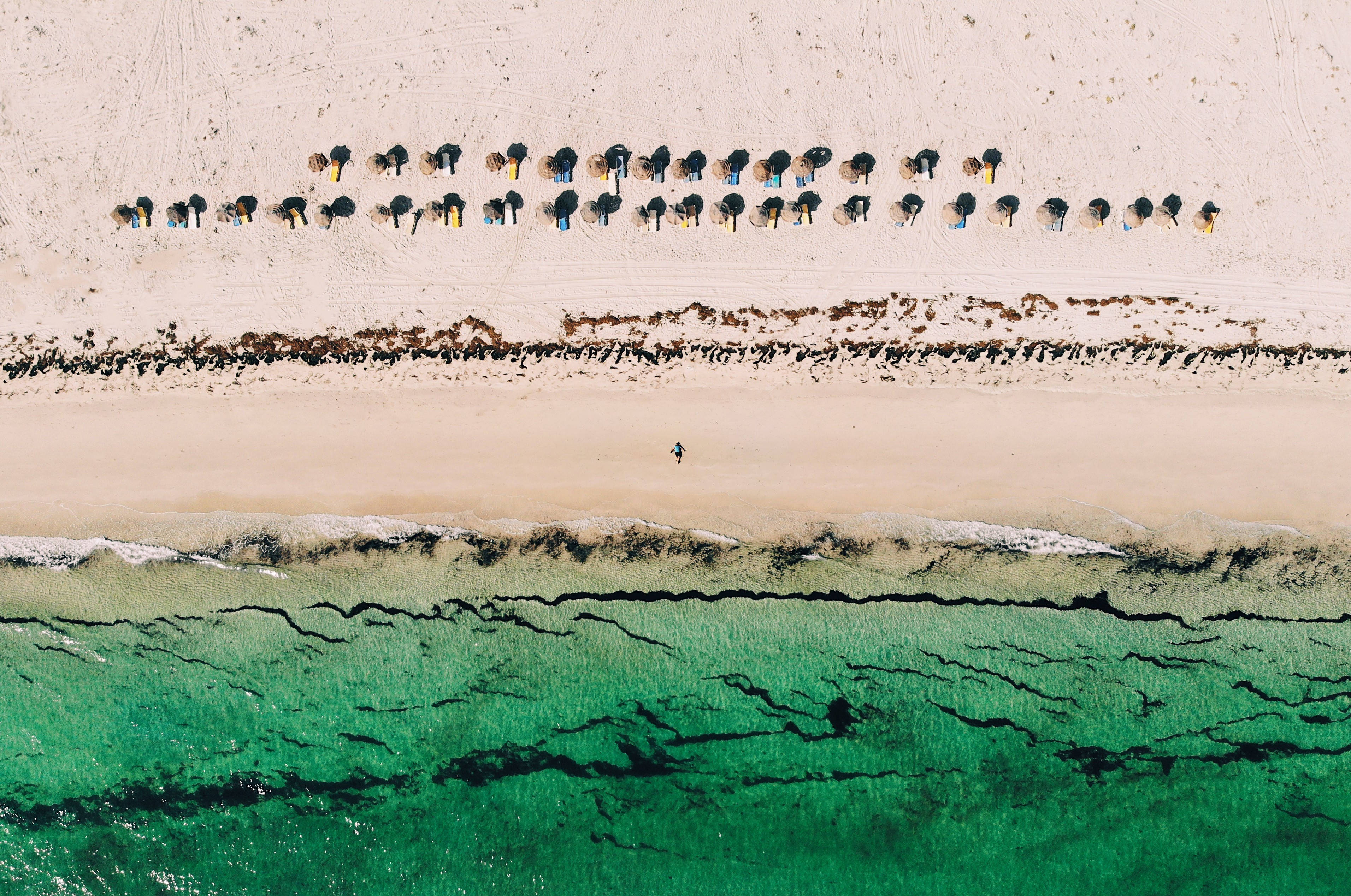 Tunisian, beach, colorful umbrellas, 2K Desktop Wallpaper