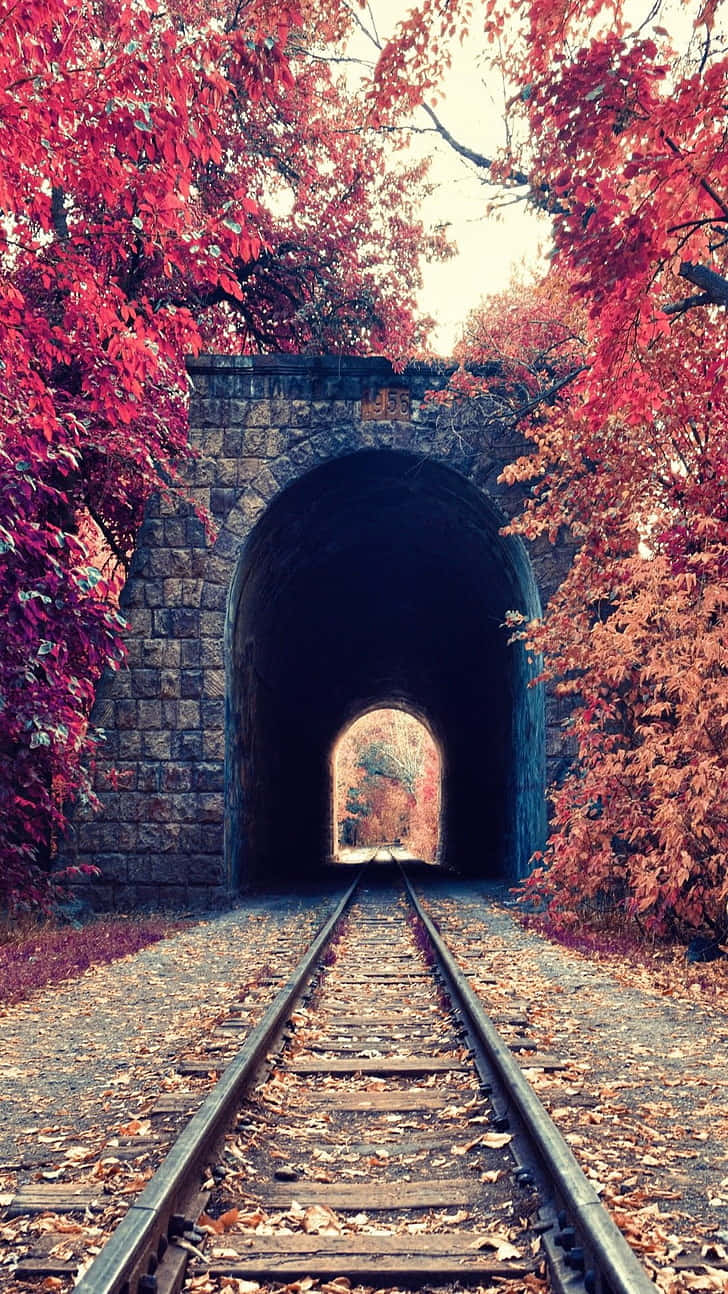 autumn railroad tunnel, railroad tracks, stone tunnel, HD Phone Wallpaper