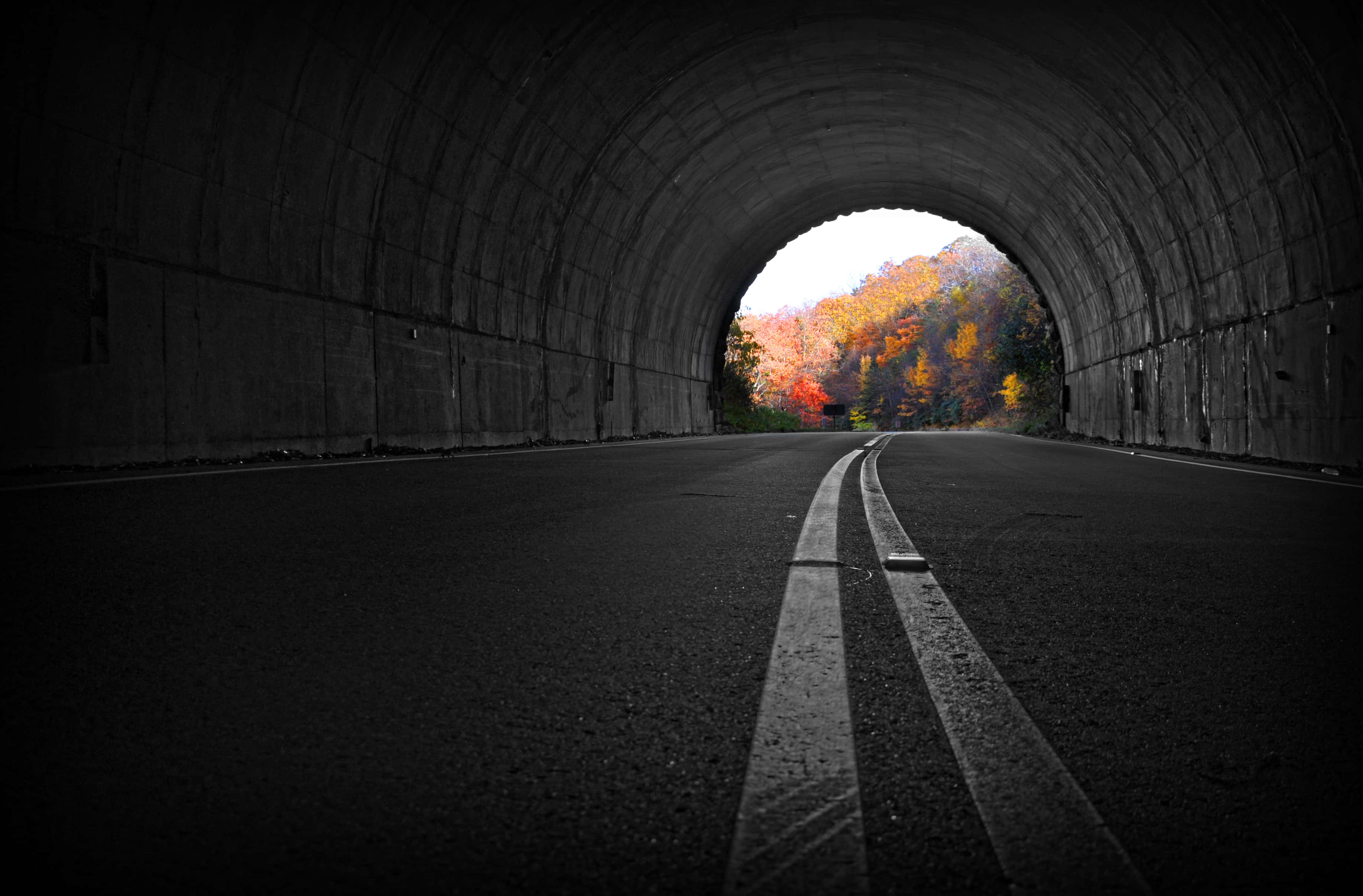 autumn exit tunnel, dark concrete tunnel, vibrant autumn forest, 2K Desktop Wallpaper