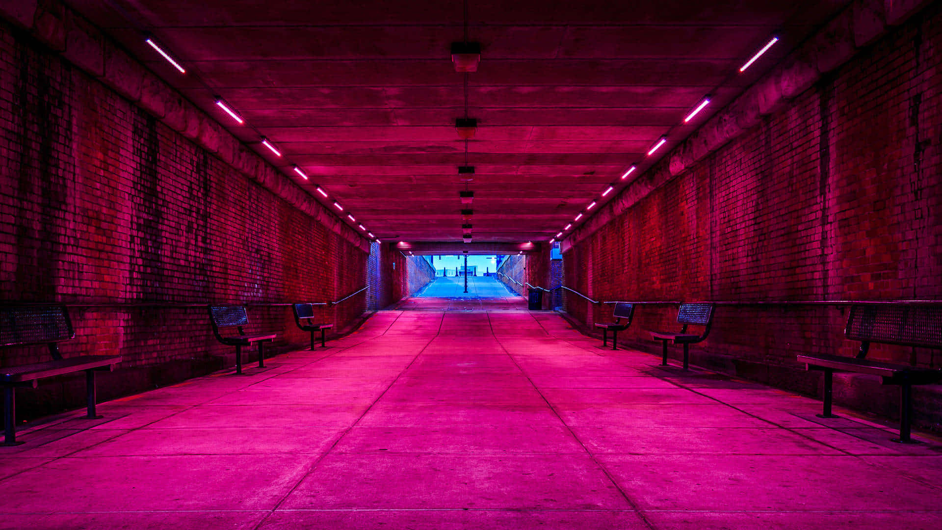 urban tunnel, pink neon light, brick tunnel, Full HD Desktop Wallpaper