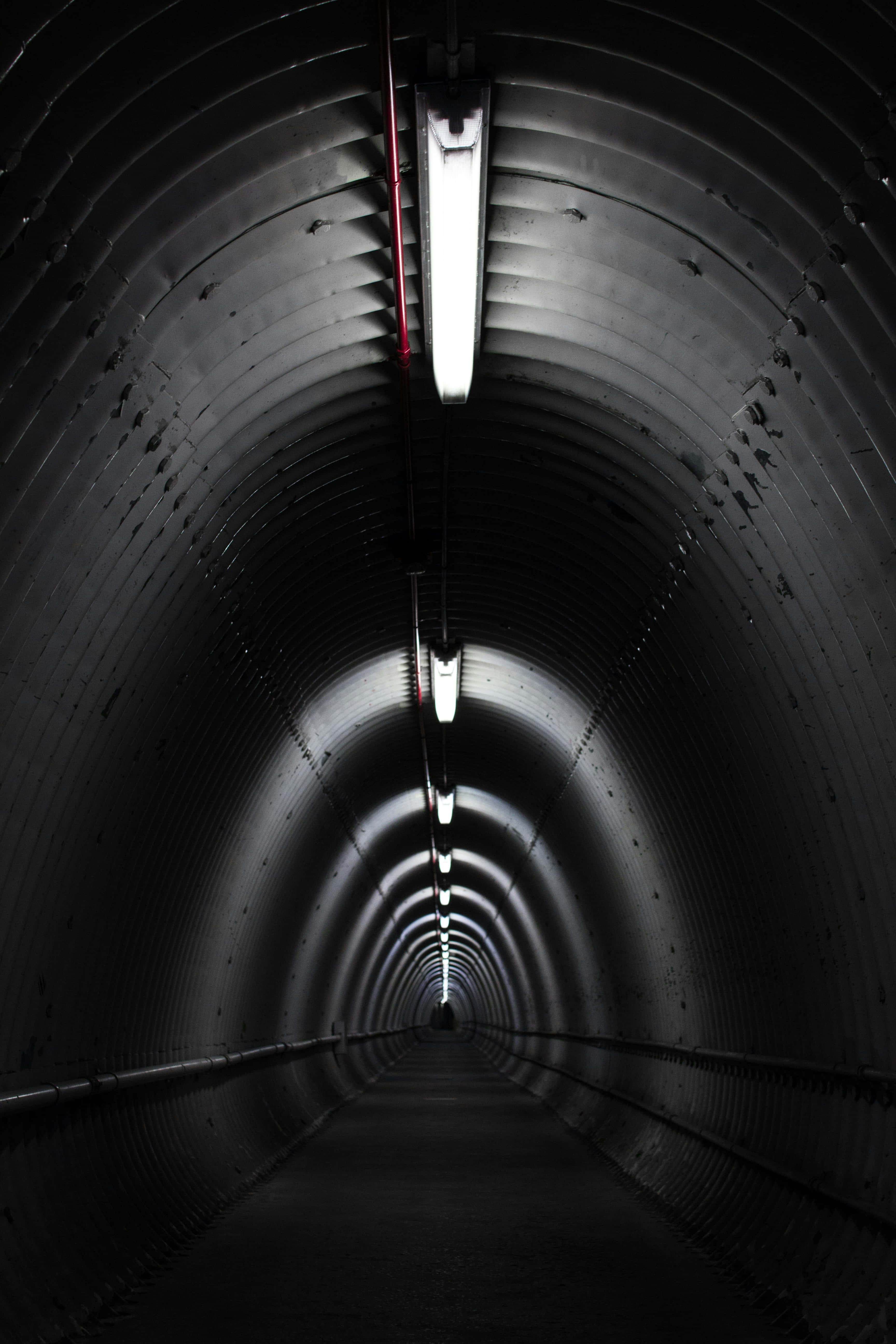 illuminated underground tunnel, curved metal walls, bright fluorescent lights, 5K Phone Wallpaper
