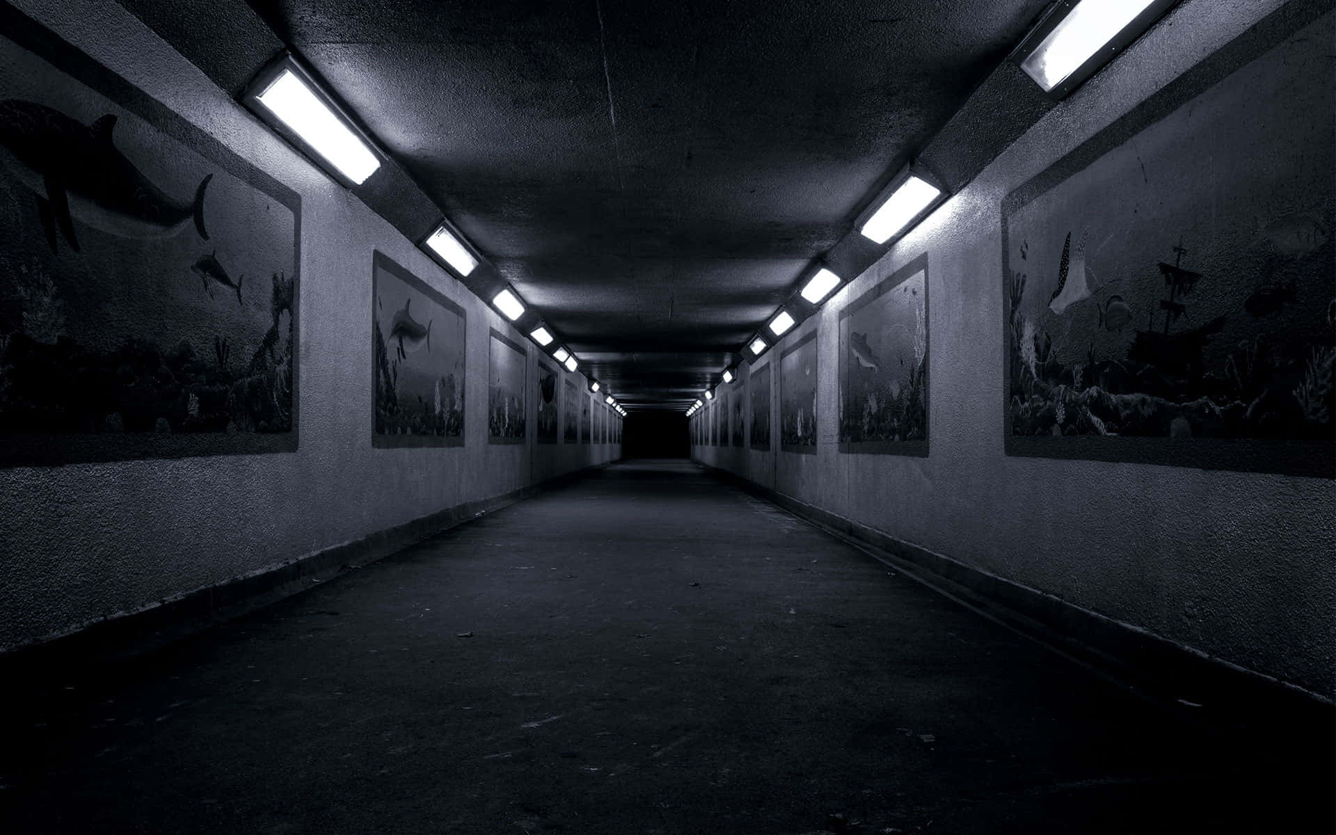 illuminated underground passage, fluorescent lights, ocean-themed murals, Full HD Desktop Wallpaper