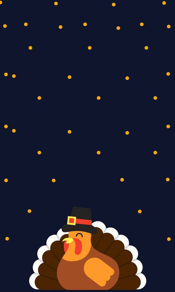 turkey, pilgrim hat, dark blue night sky, SD Phone Wallpaper