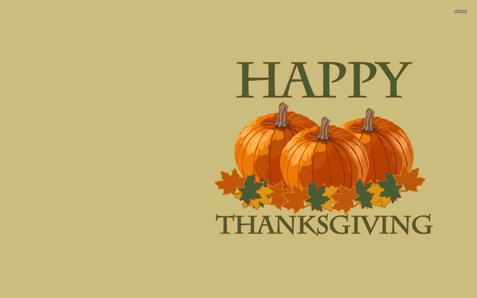 Turkey, HAPPY THANKSGIVING, orange pumpkins, Full HD Desktop Wallpaper
