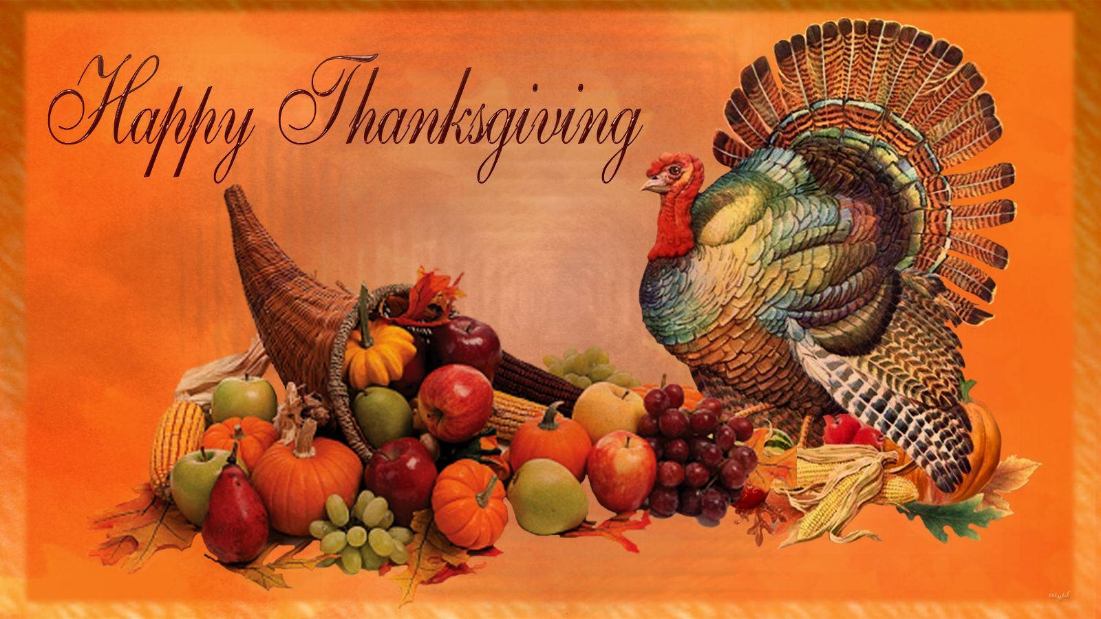 Happy Thanksgiving, Turkey, cornucopia, pumpkins, HD Desktop Wallpaper