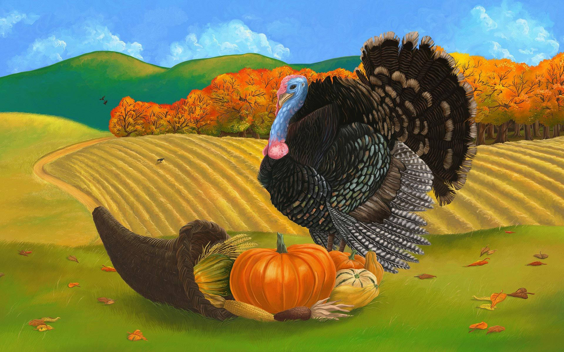 Turkey, Thanksgiving, autumn field, Full HD Desktop Wallpaper