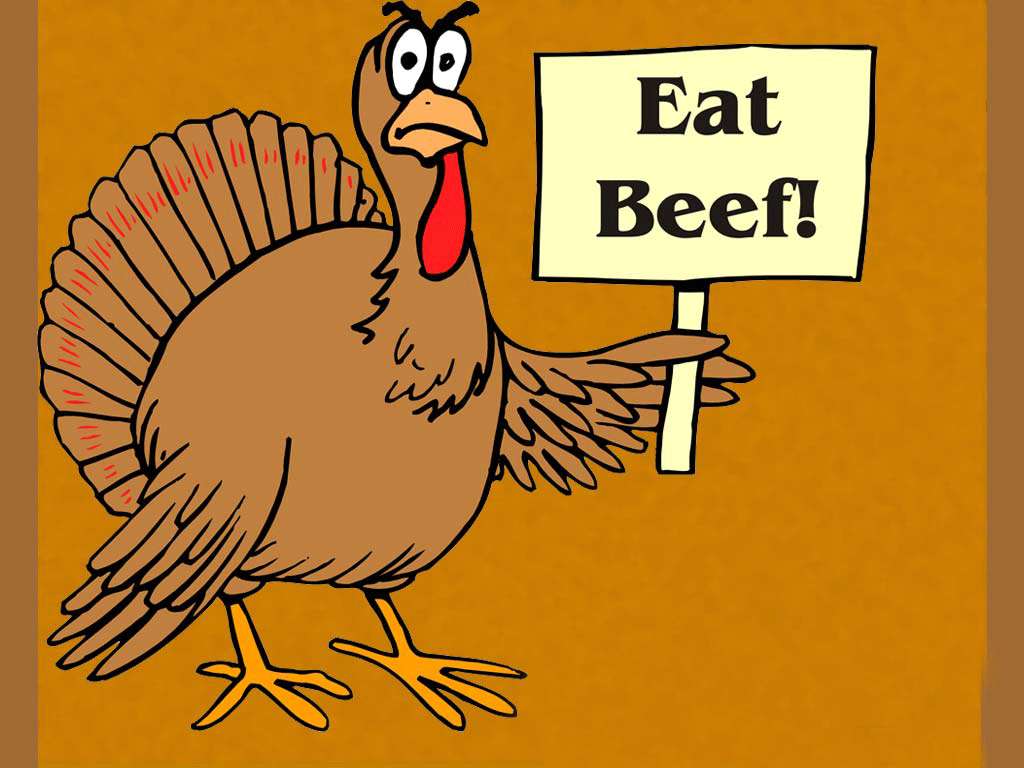 Turkey, red wattle, sign saying 'Eat Beef!', SD Desktop Wallpaper