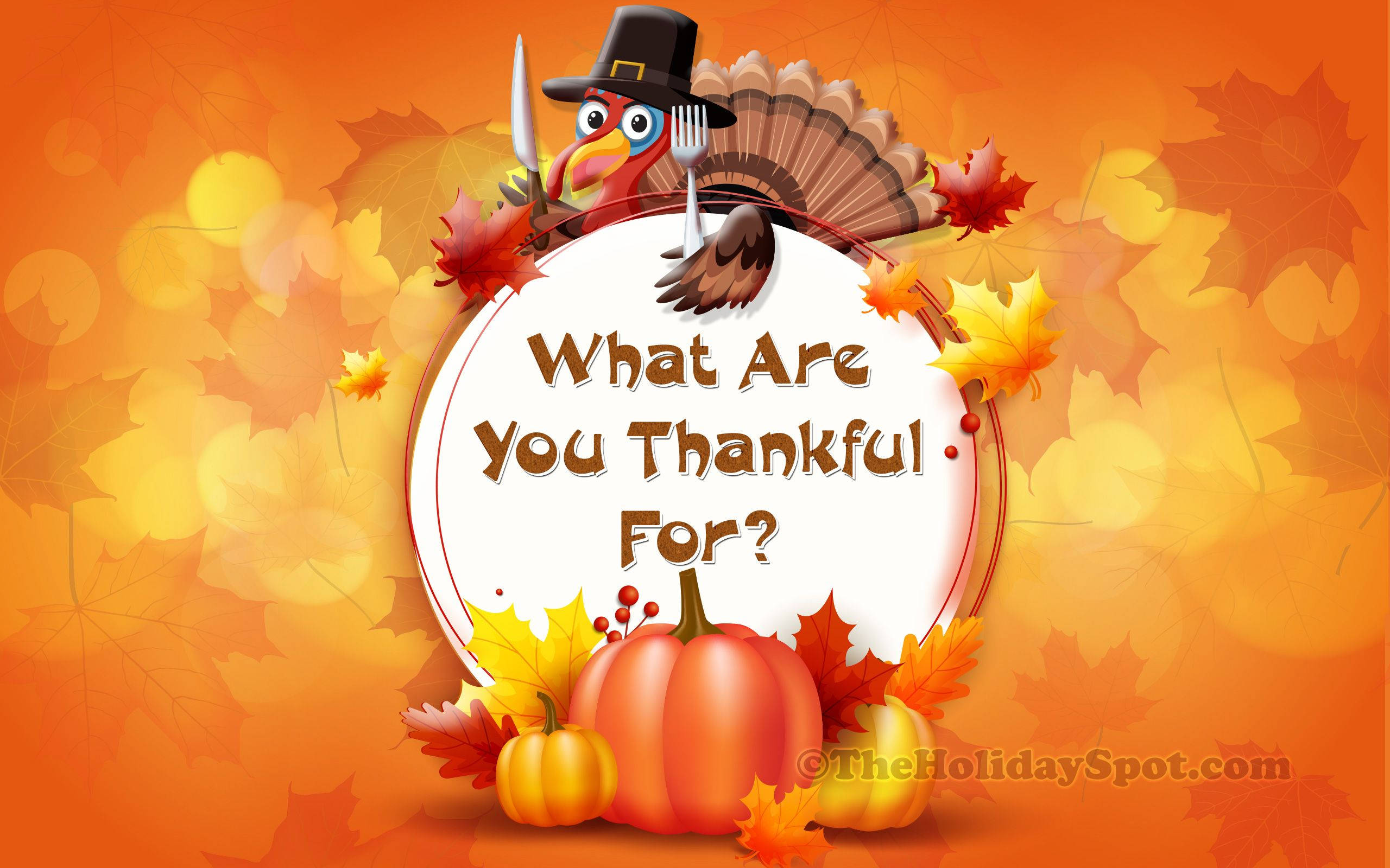 turkey, pilgrim hat, utensils, 2K Desktop Wallpaper