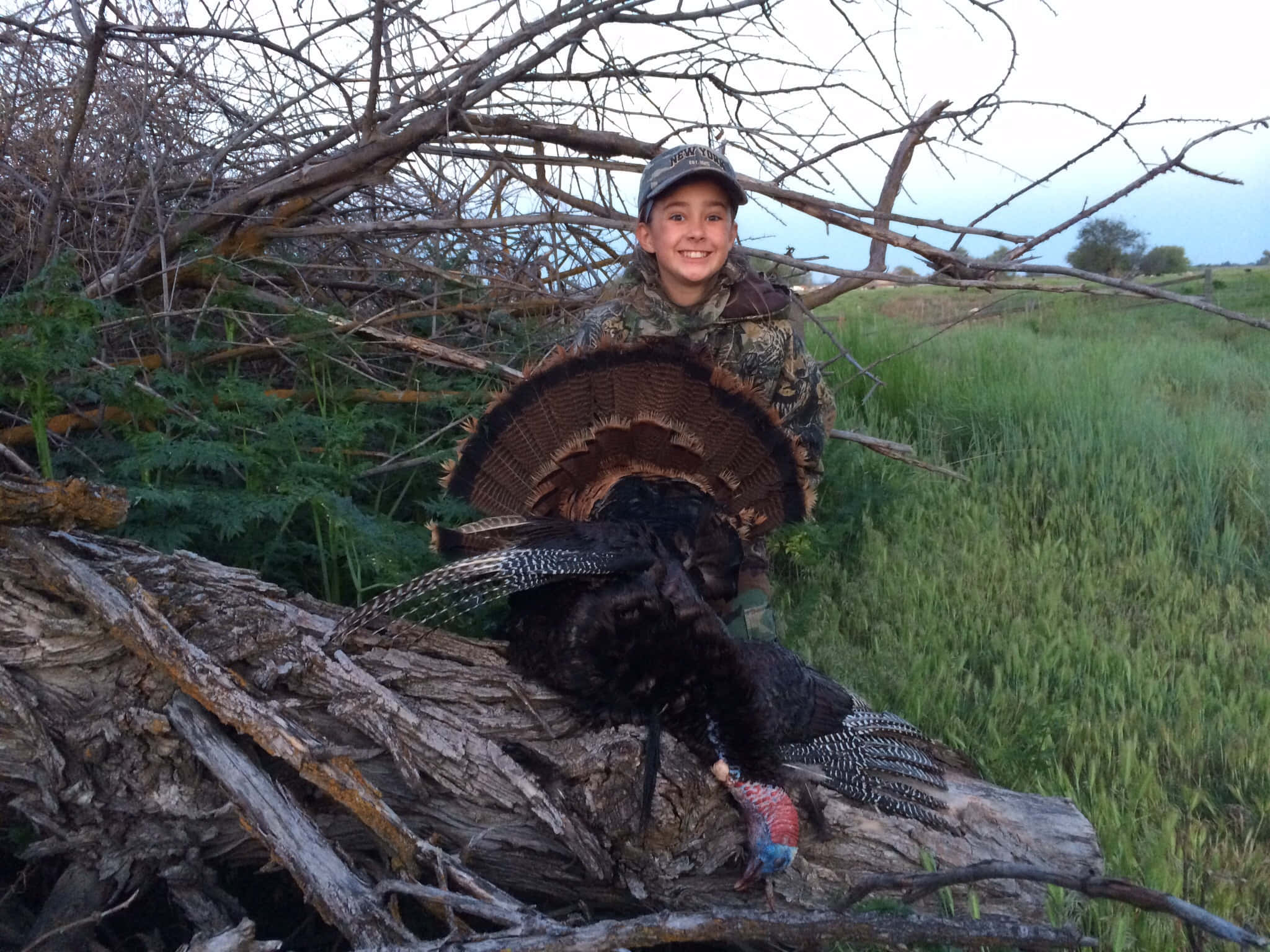 Turkey Hunting, camouflage, large male turkey, Full HD Desktop Wallpaper