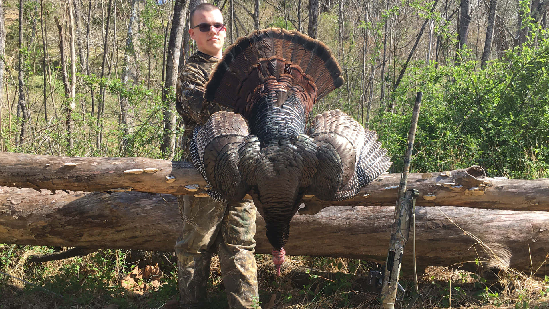turkey hunting, camouflage, large male turkey, Full HD Desktop Wallpaper