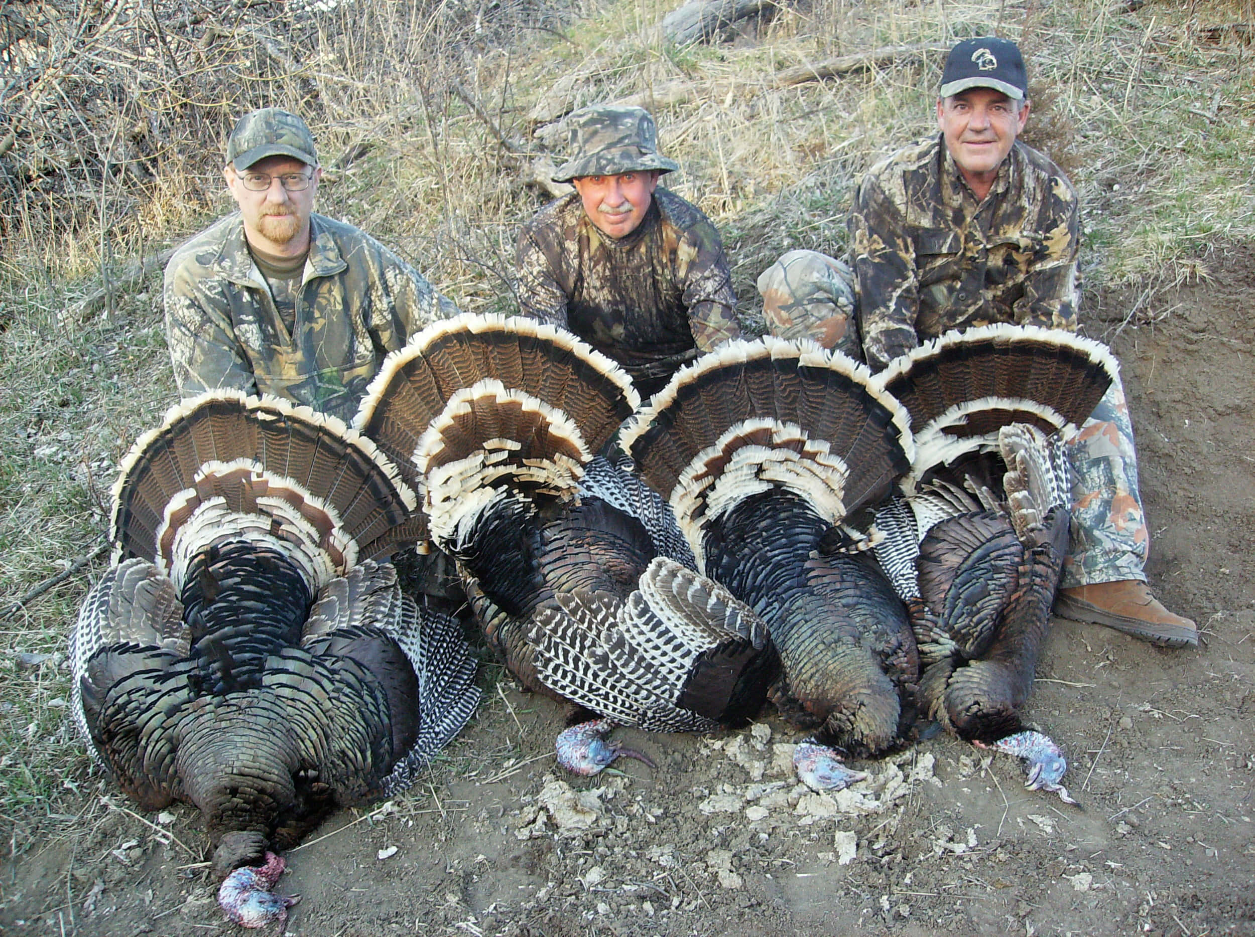 Turkey Hunting, camouflage, harvested turkeys, Full HD Desktop Wallpaper