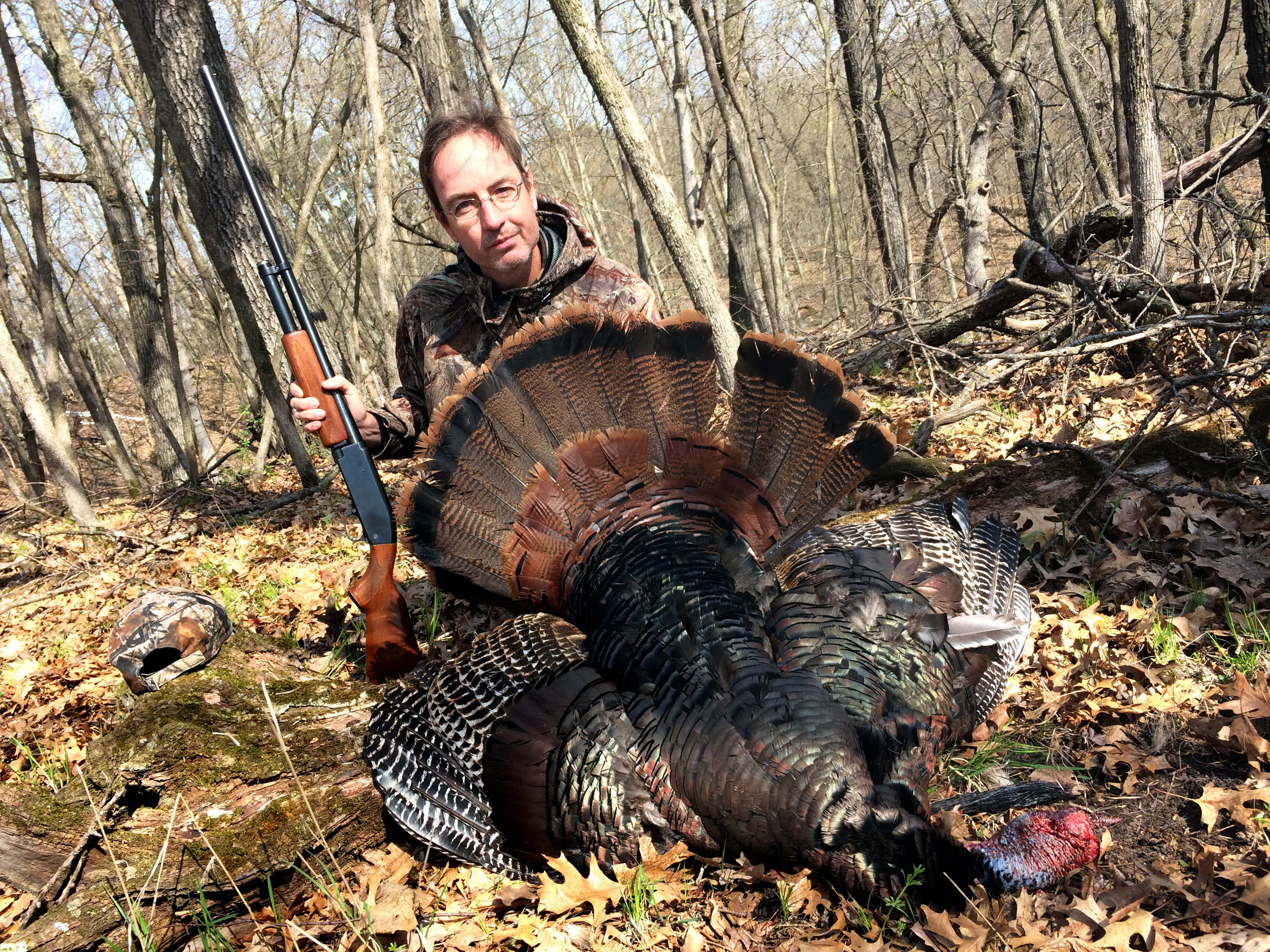 turkey hunting, camouflage, large turkey, 2K Desktop Wallpaper