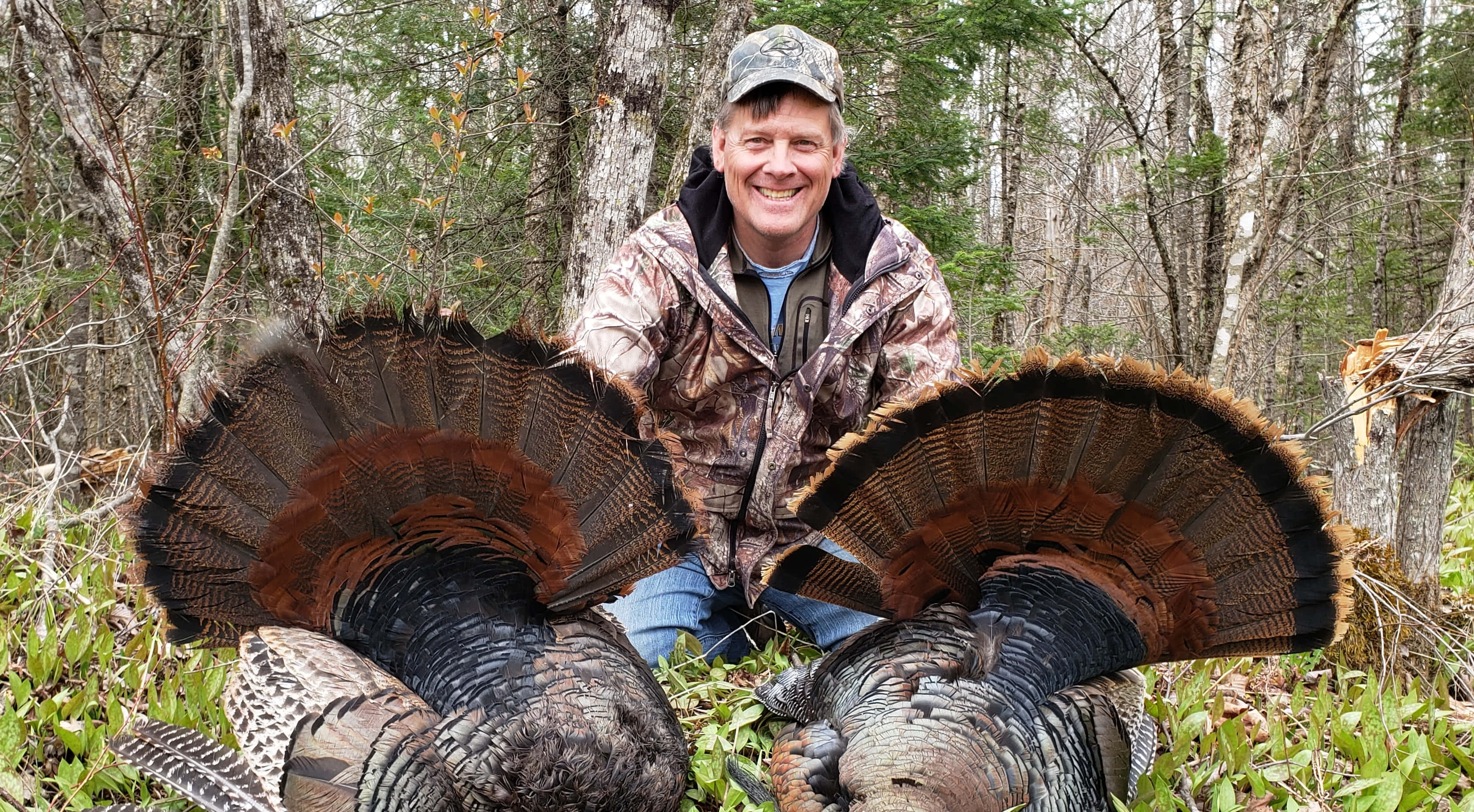 turkey hunting, camouflage, male turkeys, 2K Desktop Wallpaper