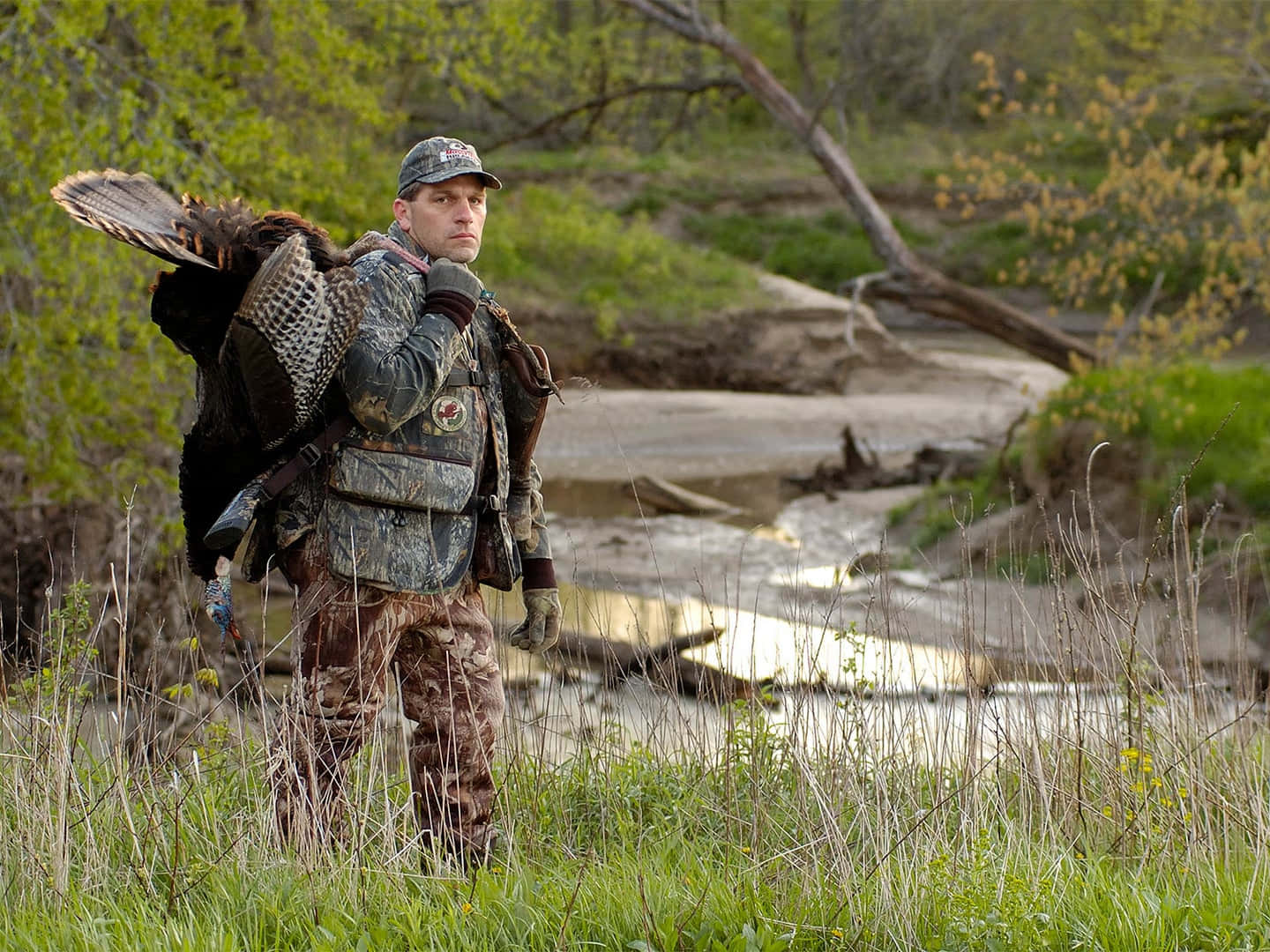 turkey hunting, camouflage, grassy riverbank, HD Desktop Wallpaper