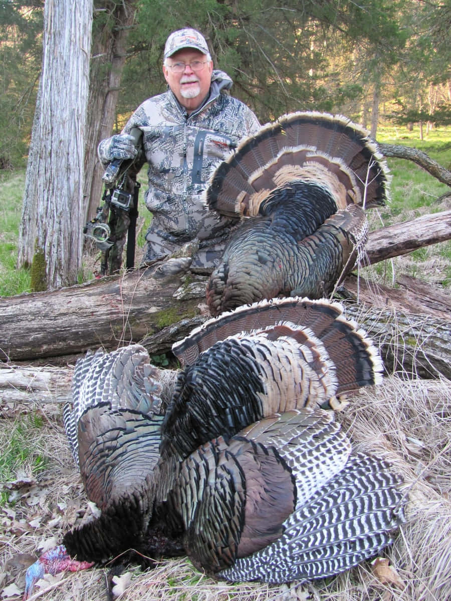 Turkey Hunting, camouflage gear, male turkeys, SD Phone Wallpaper