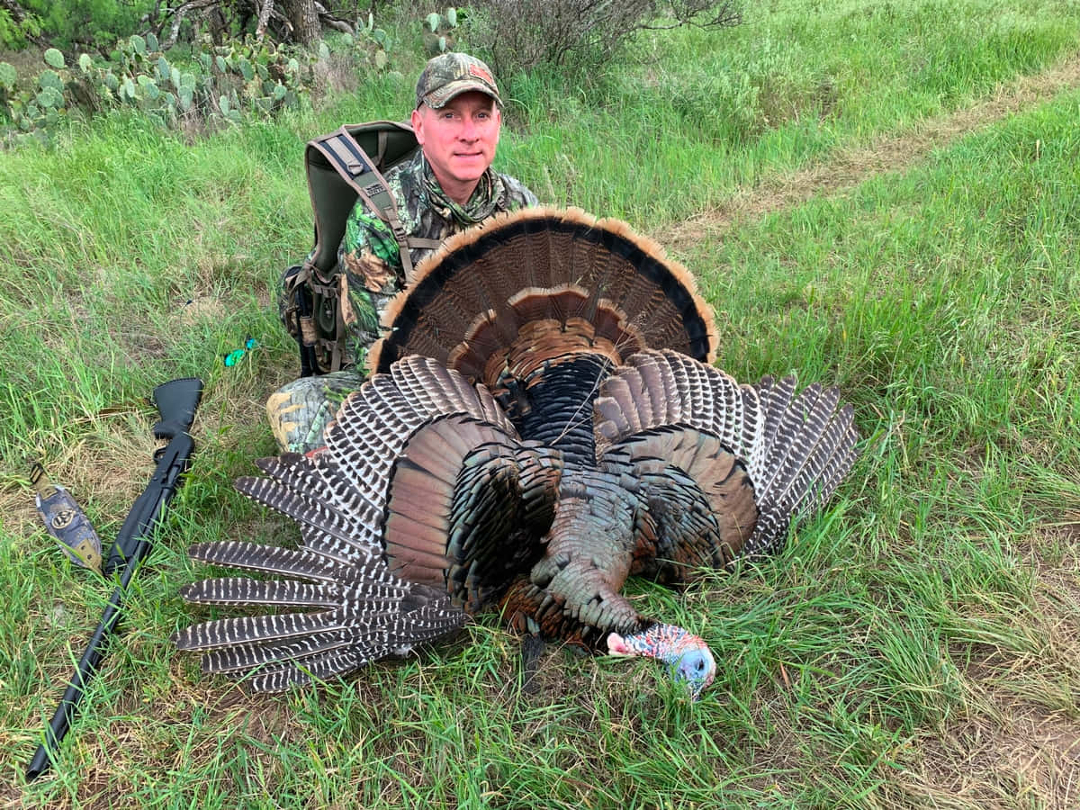 turkey hunting, camouflage gear, large male turkey, SD Desktop Wallpaper